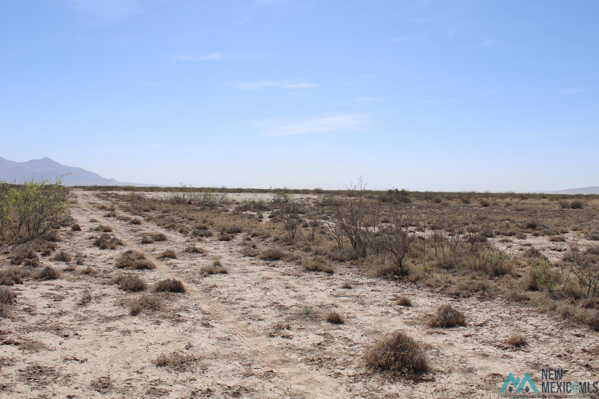 Madison Rd Sw, Deming, New Mexico image 9