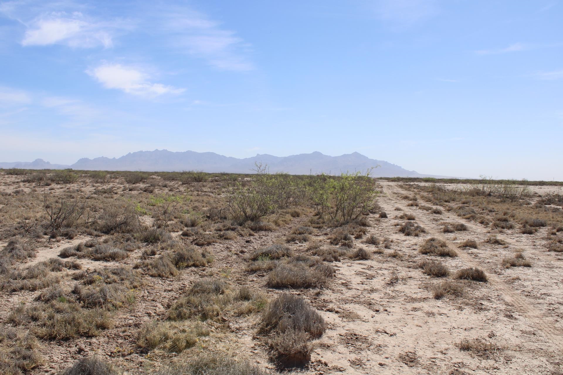 Madison Rd Sw, Deming, New Mexico image 8