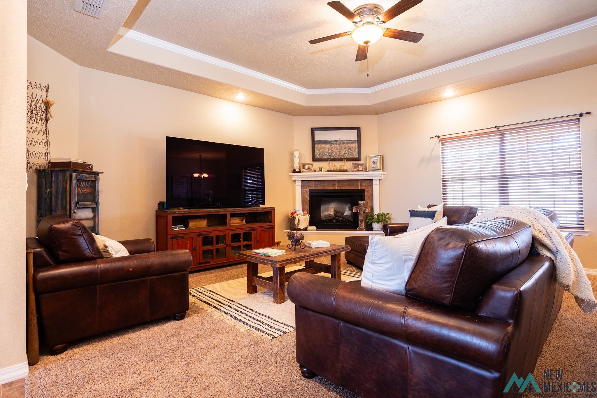 3924 Woodlark Road, Clovis, New Mexico image 4