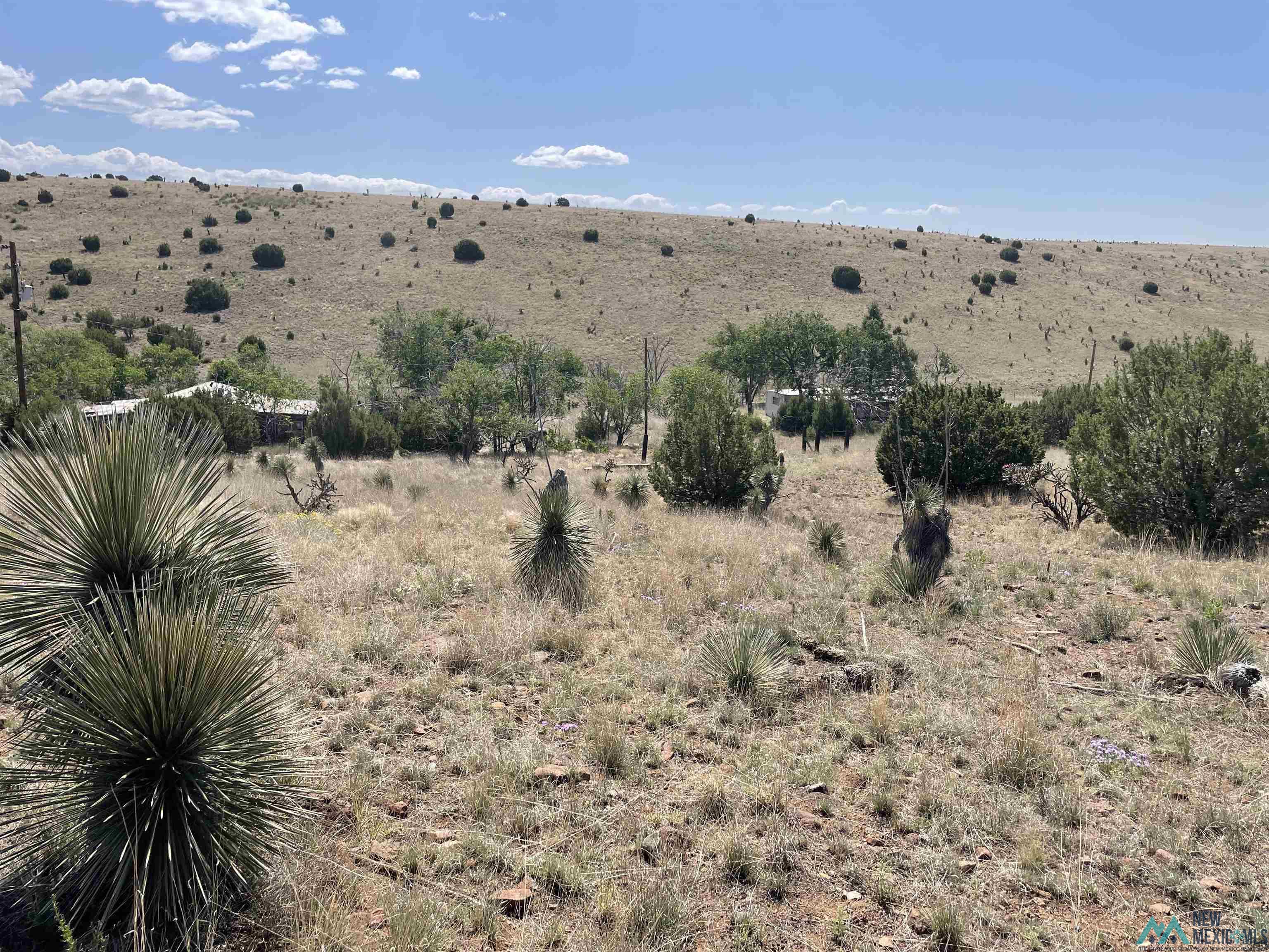 191 Kirkland Drive, Silver City, New Mexico image 6