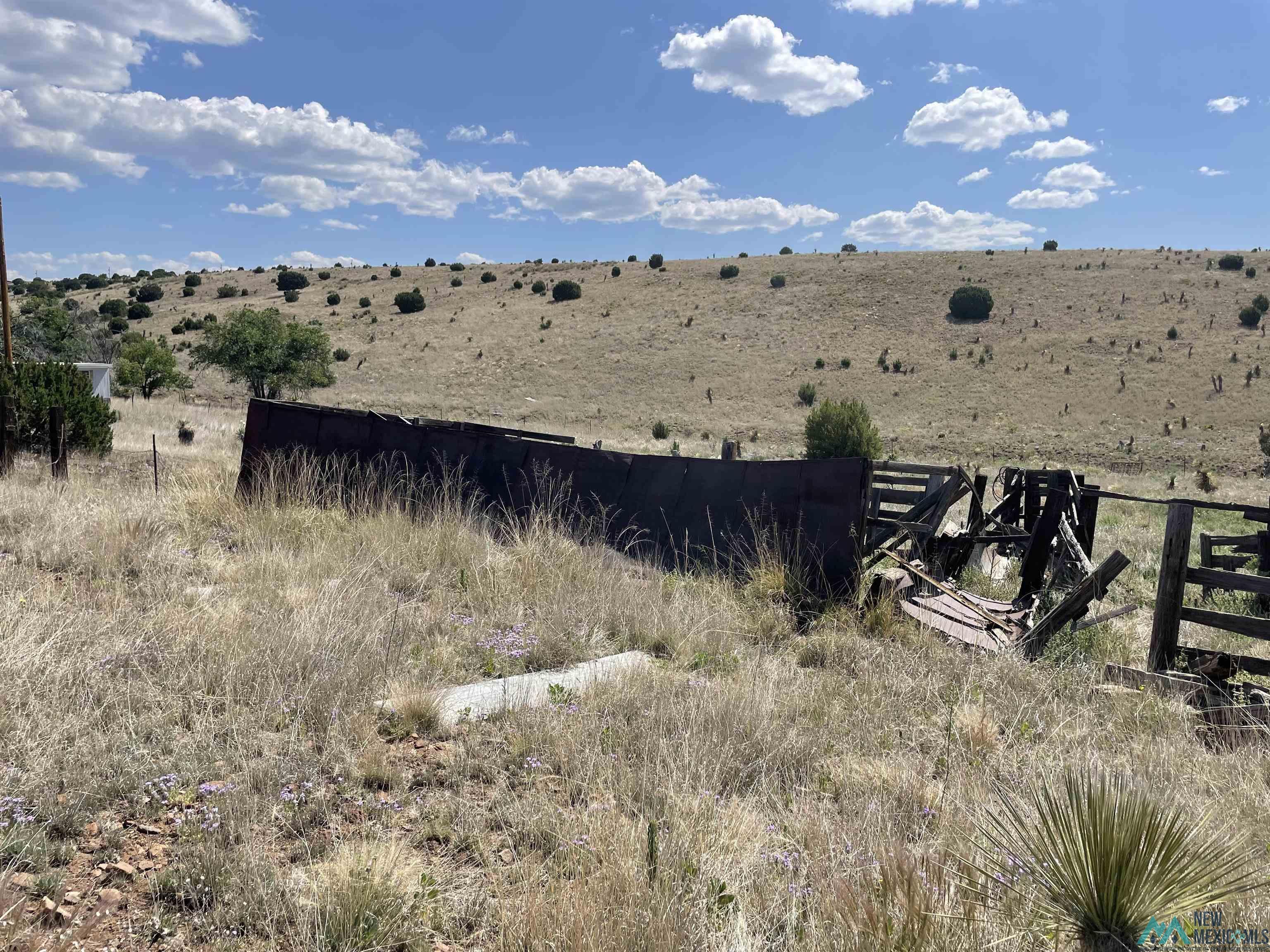 191 Kirkland Drive, Silver City, New Mexico image 2