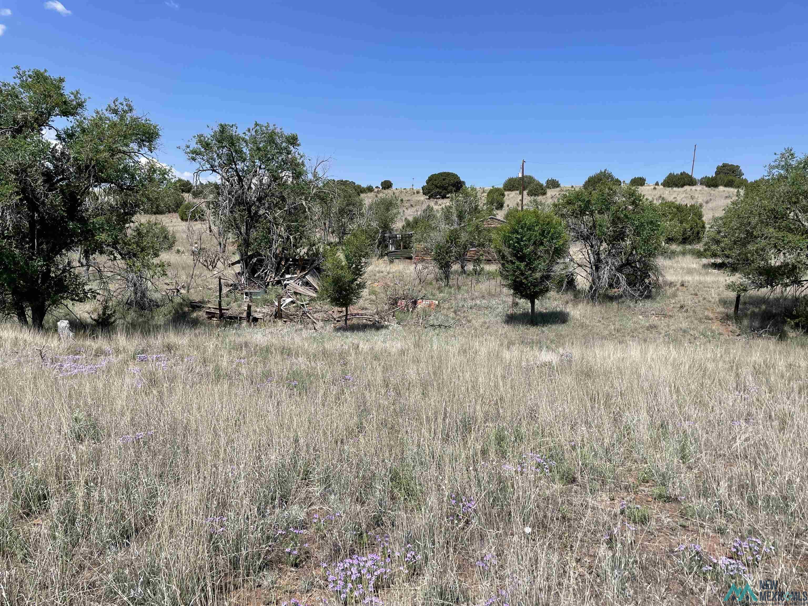 191 Kirkland Drive, Silver City, New Mexico image 8