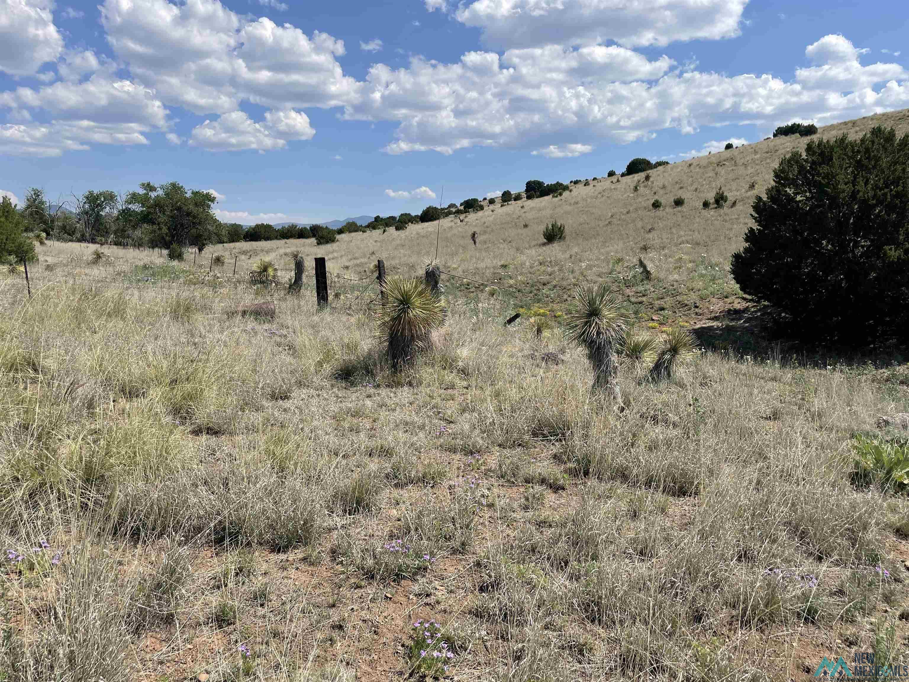 191 Kirkland Drive, Silver City, New Mexico image 7