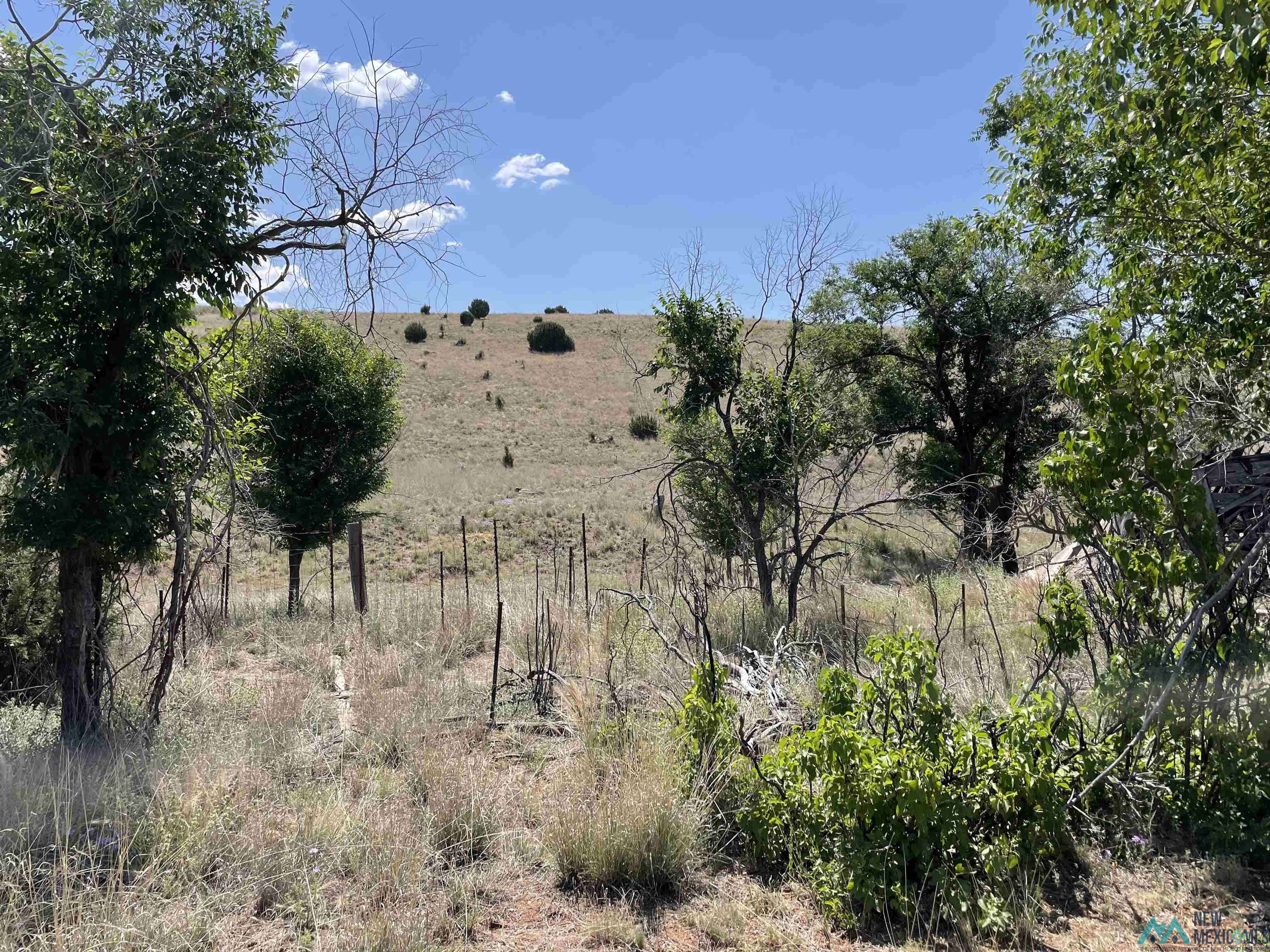 191 Kirkland Drive, Silver City, New Mexico image 1