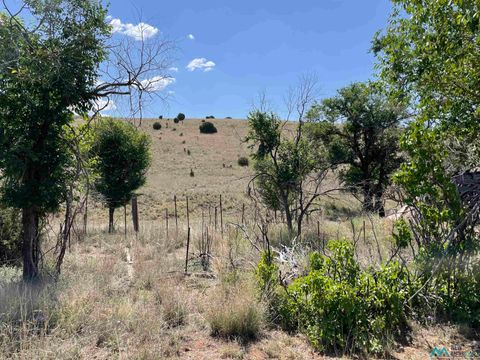 Vacant Land For Sale - 191 Kirkland Drive<br/> Silver City, NM 88061