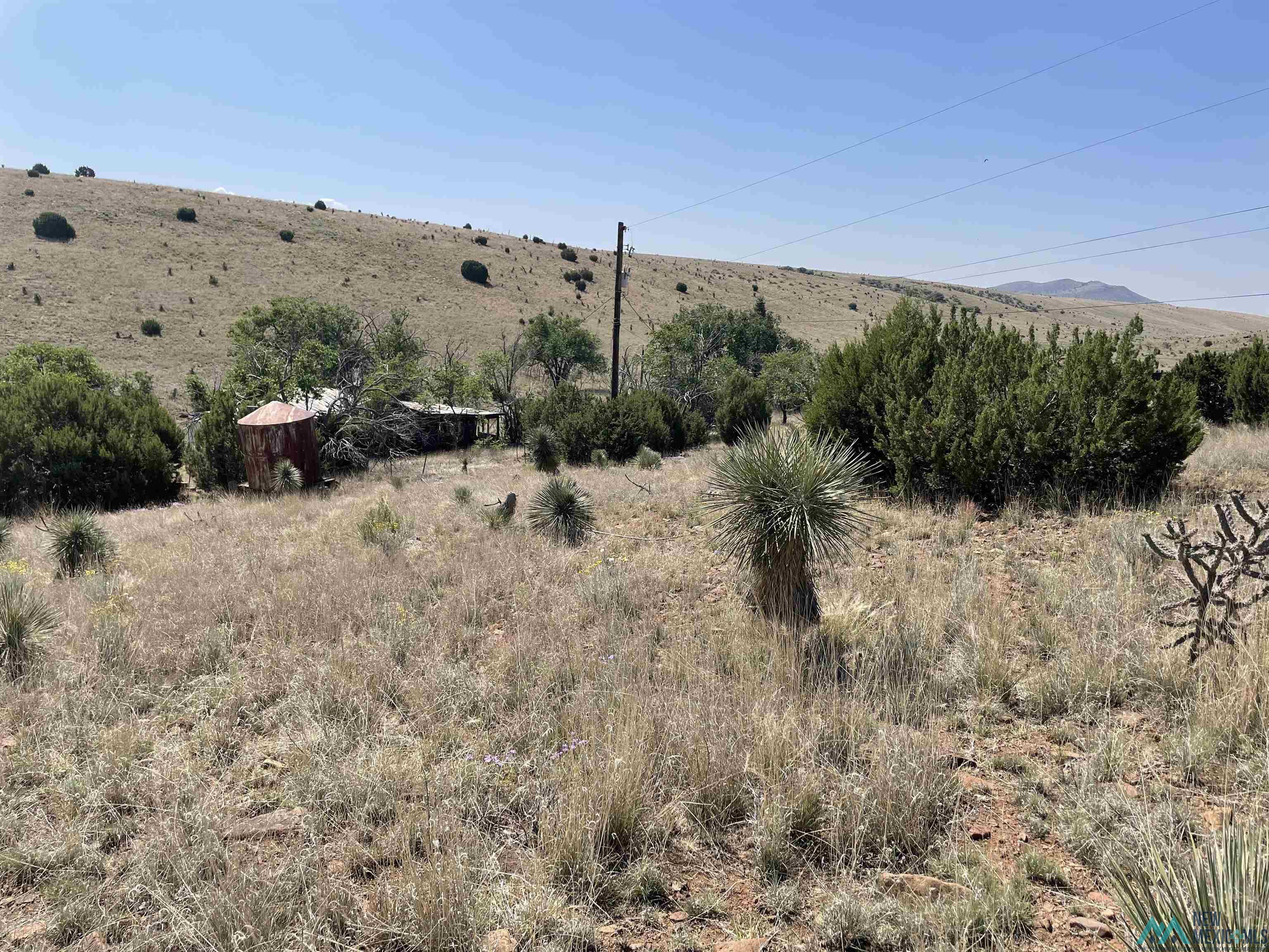 191 Kirkland Drive, Silver City, New Mexico image 5