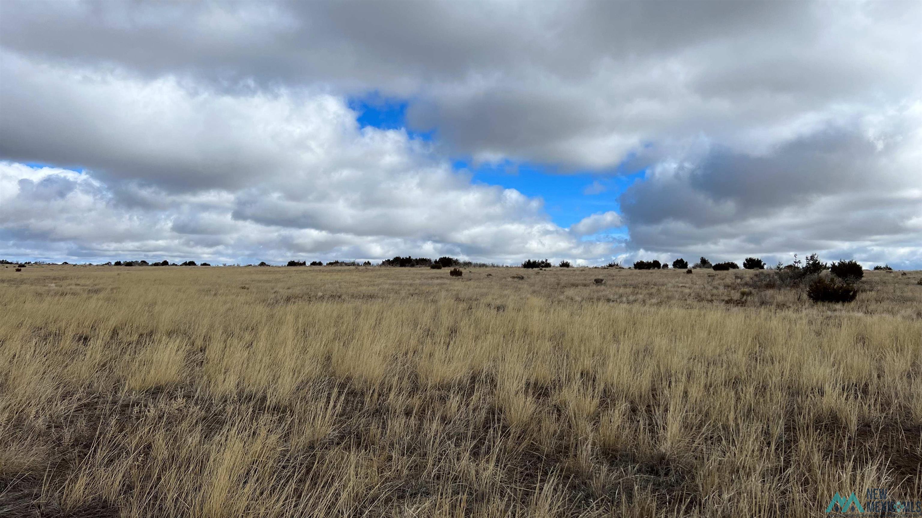 Westside Road, Fence Lake, New Mexico image 9