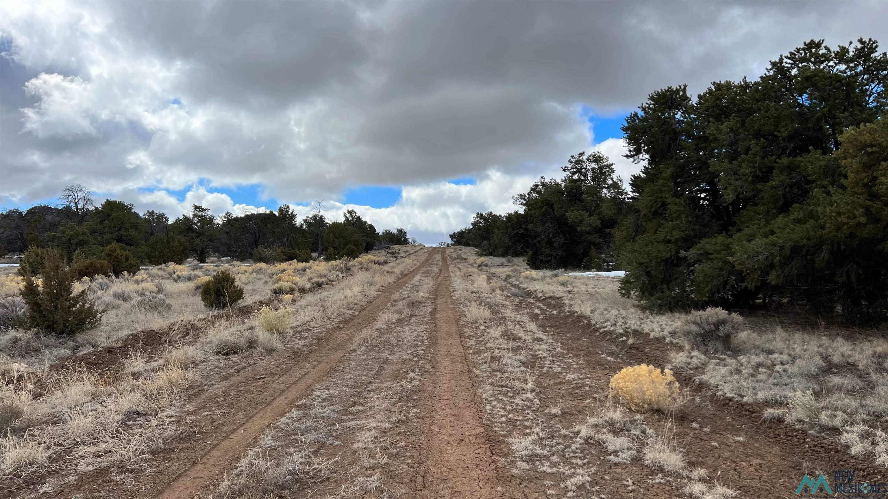 Westside Road, Fence Lake, New Mexico image 16