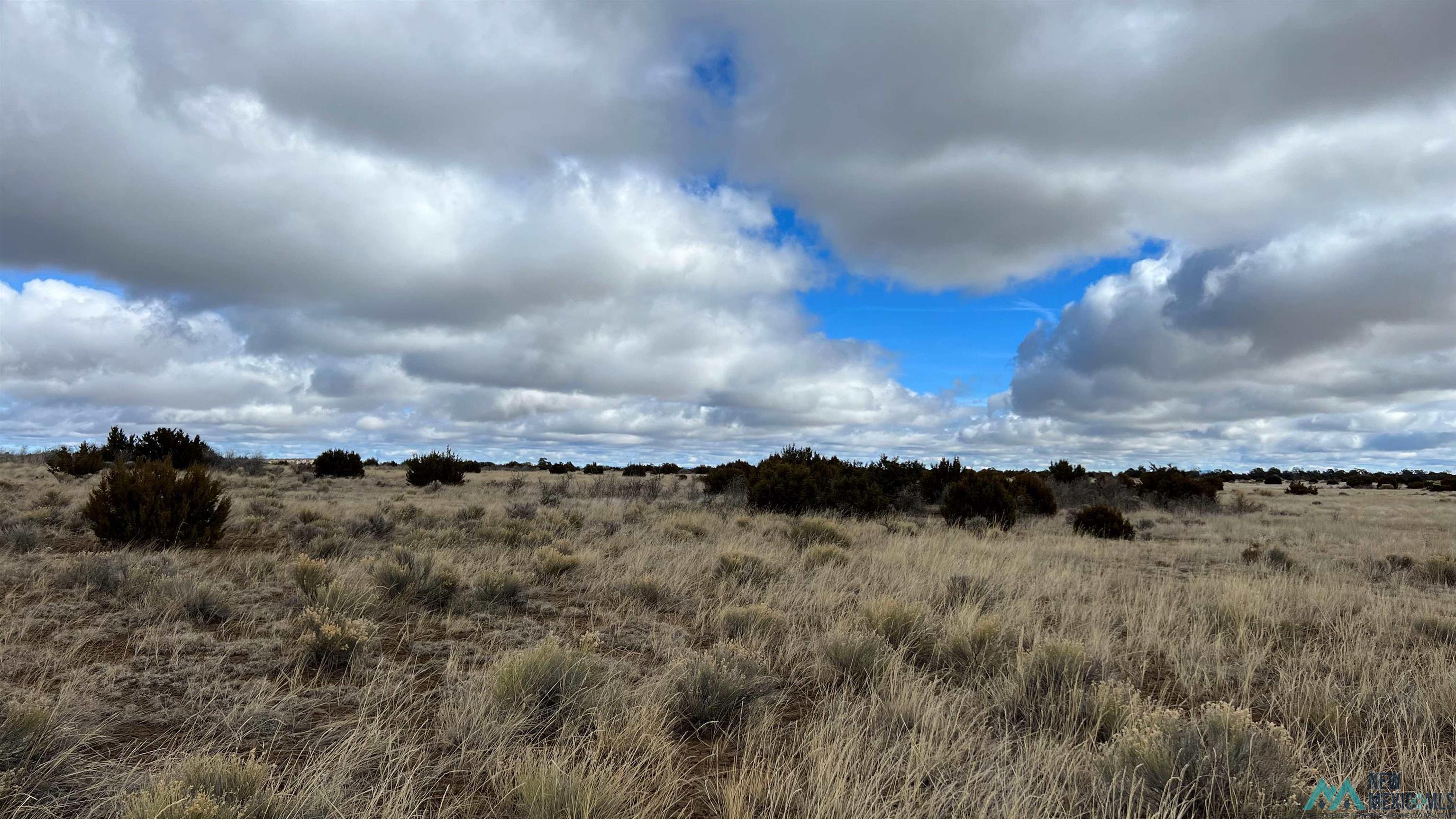 Westside Road, Fence Lake, New Mexico image 11