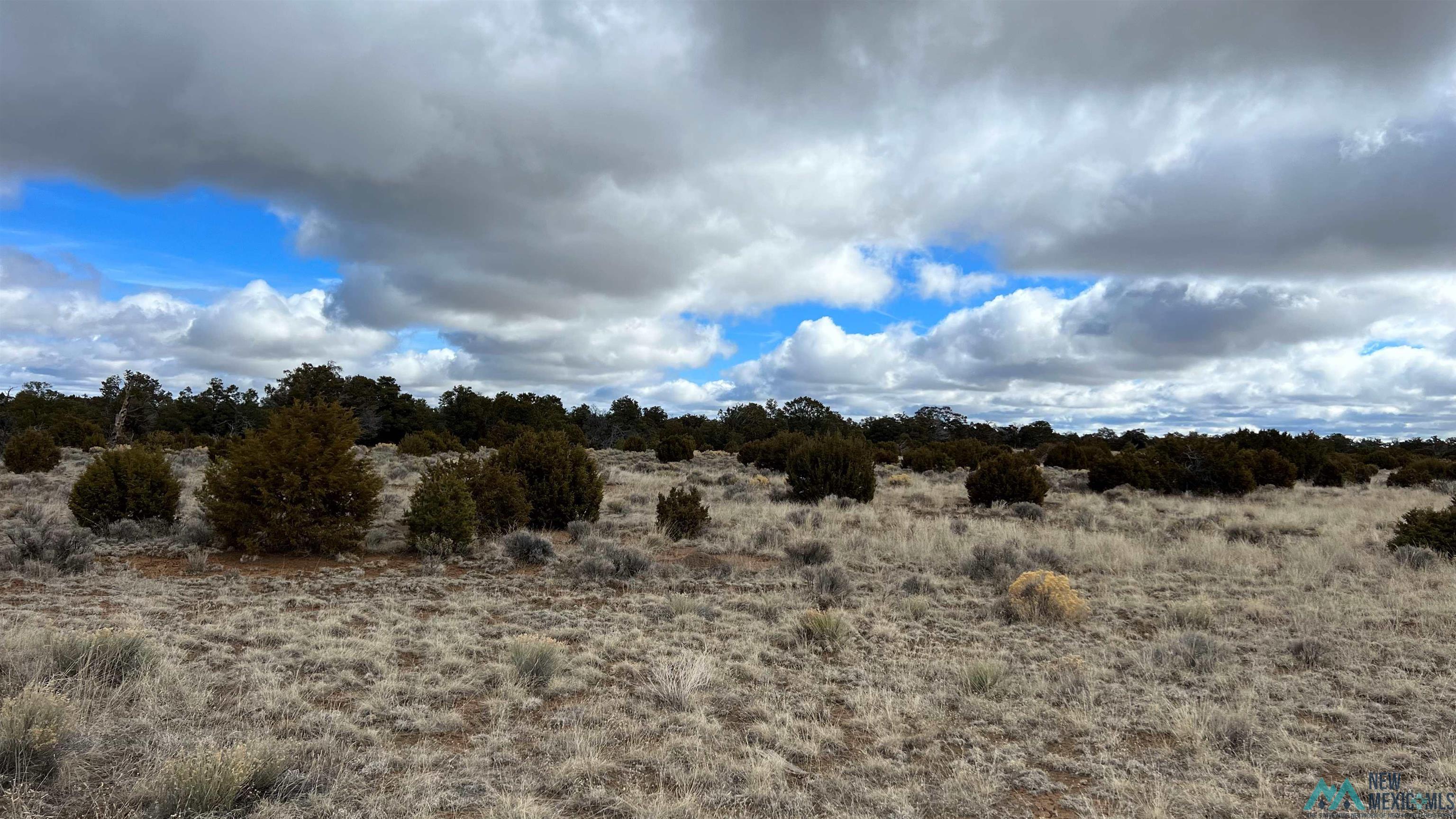 Westside Road, Fence Lake, New Mexico image 13