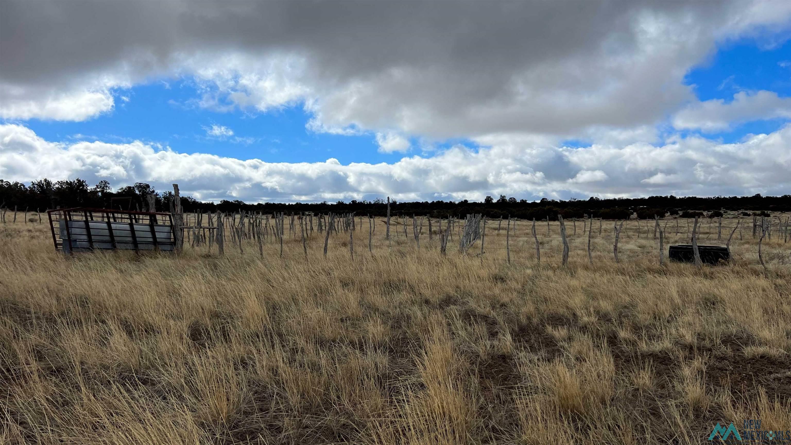 Westside Road, Fence Lake, New Mexico image 6