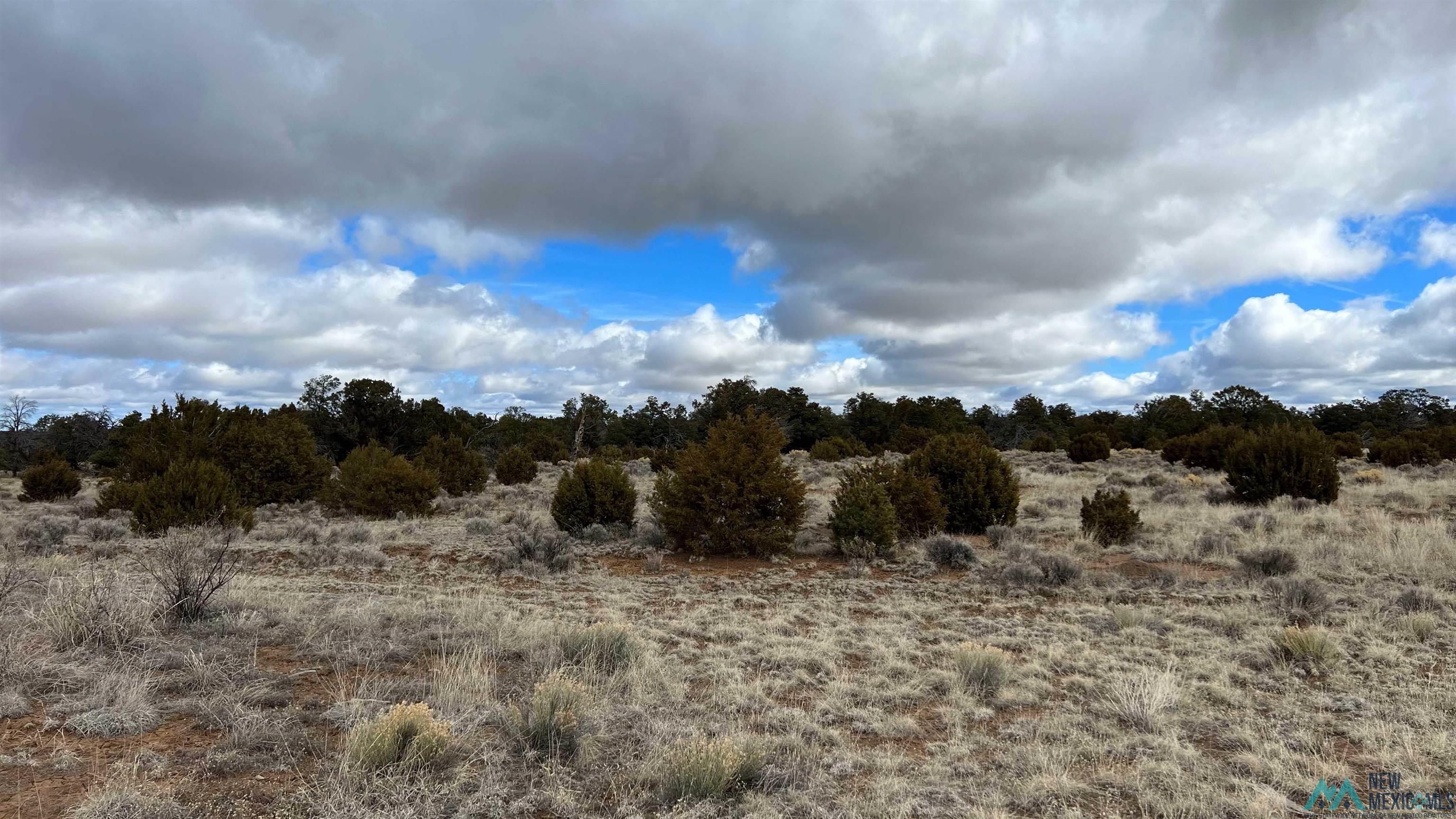 Westside Road, Fence Lake, New Mexico image 14