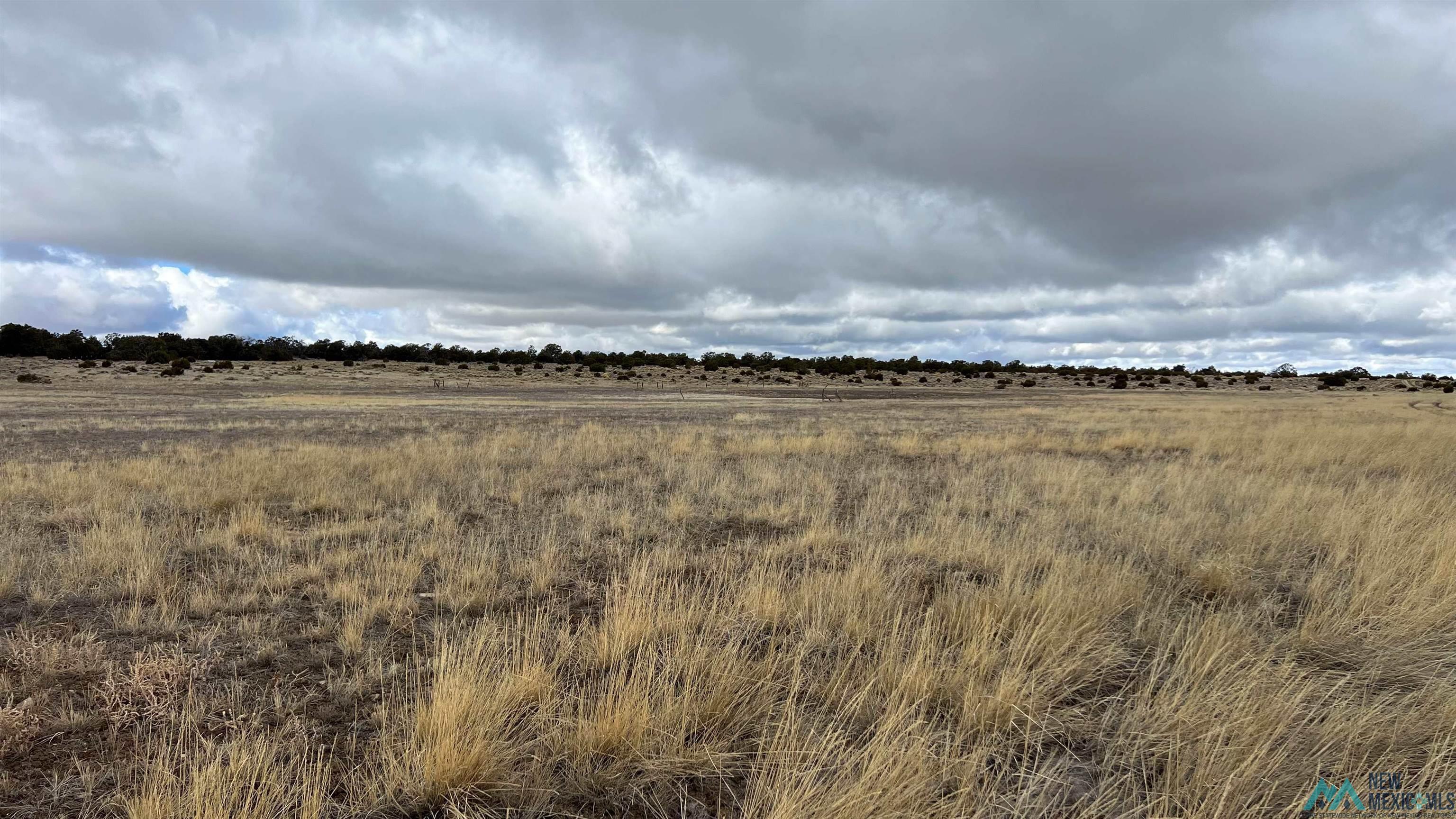 Westside Road, Fence Lake, New Mexico image 8