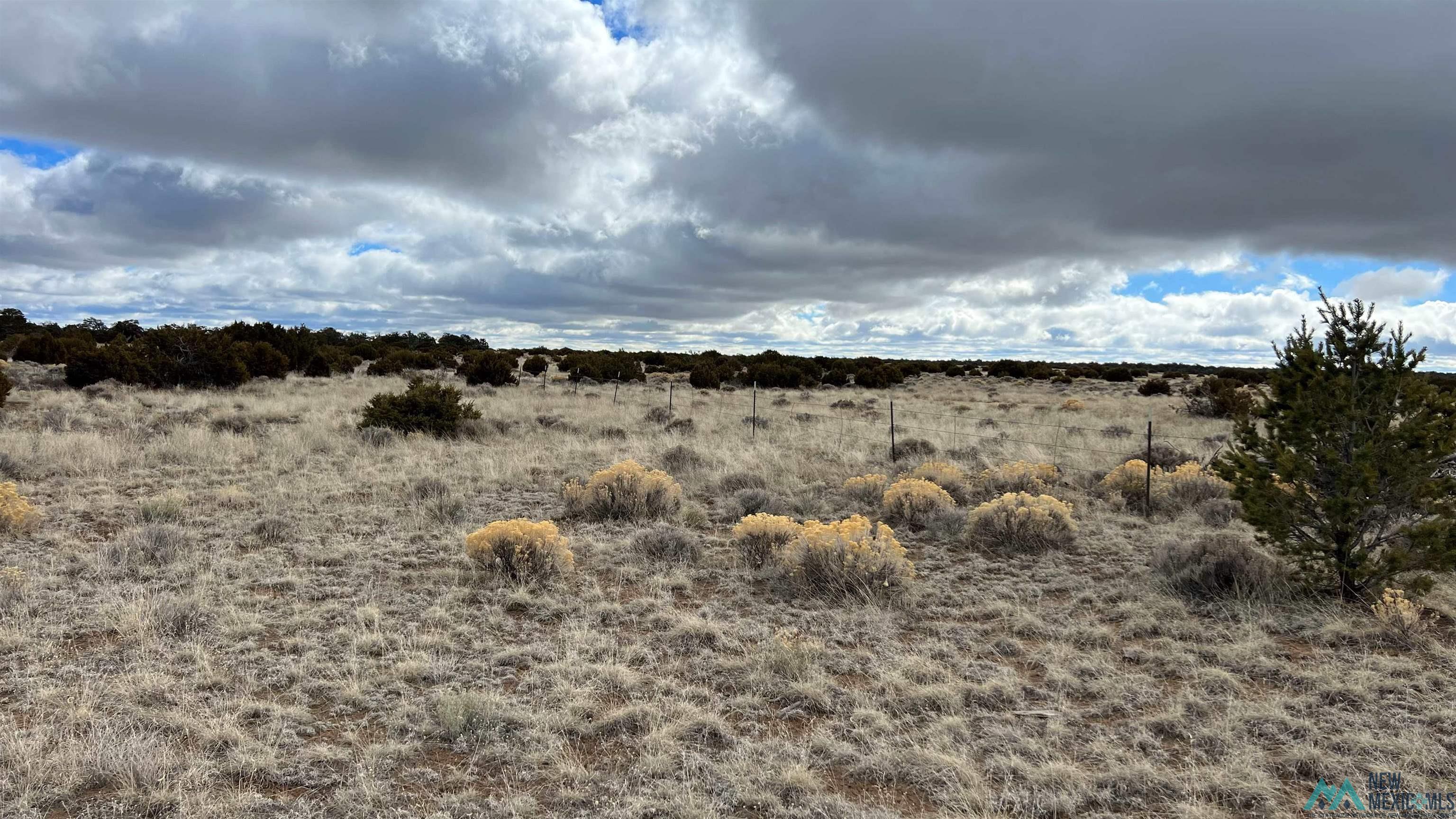 Westside Road, Fence Lake, New Mexico image 12