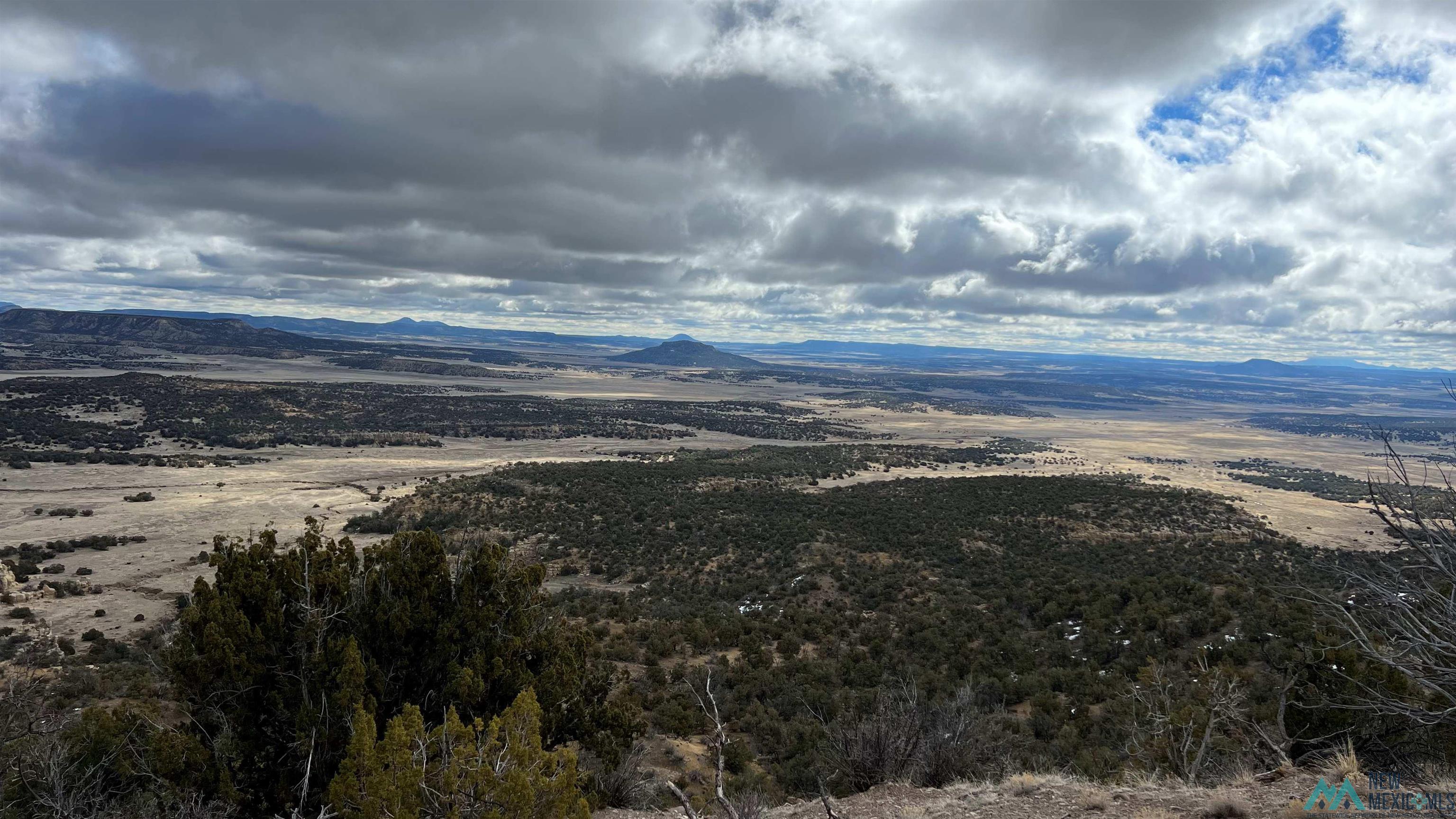 Westside Road, Fence Lake, New Mexico image 2