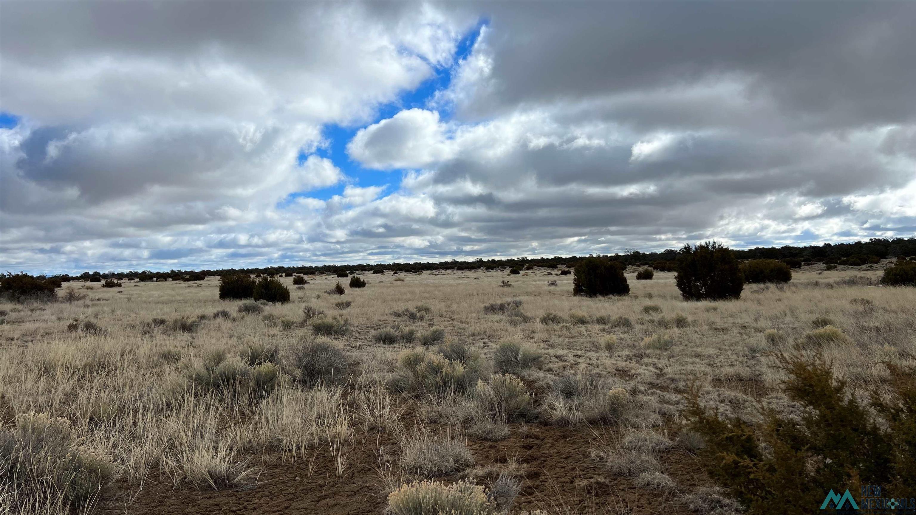 Westside Road, Fence Lake, New Mexico image 10