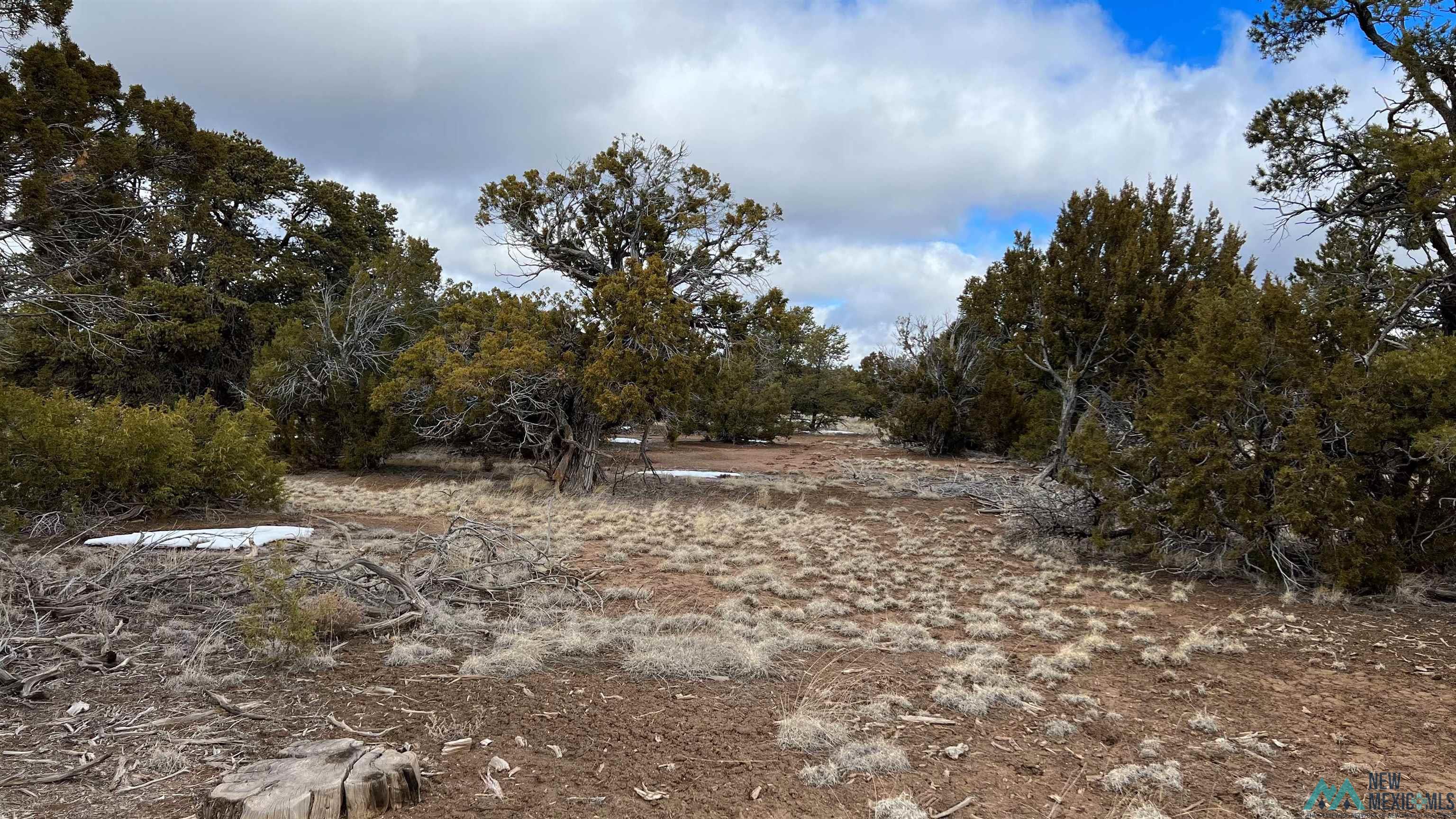 Westside Road, Fence Lake, New Mexico image 5