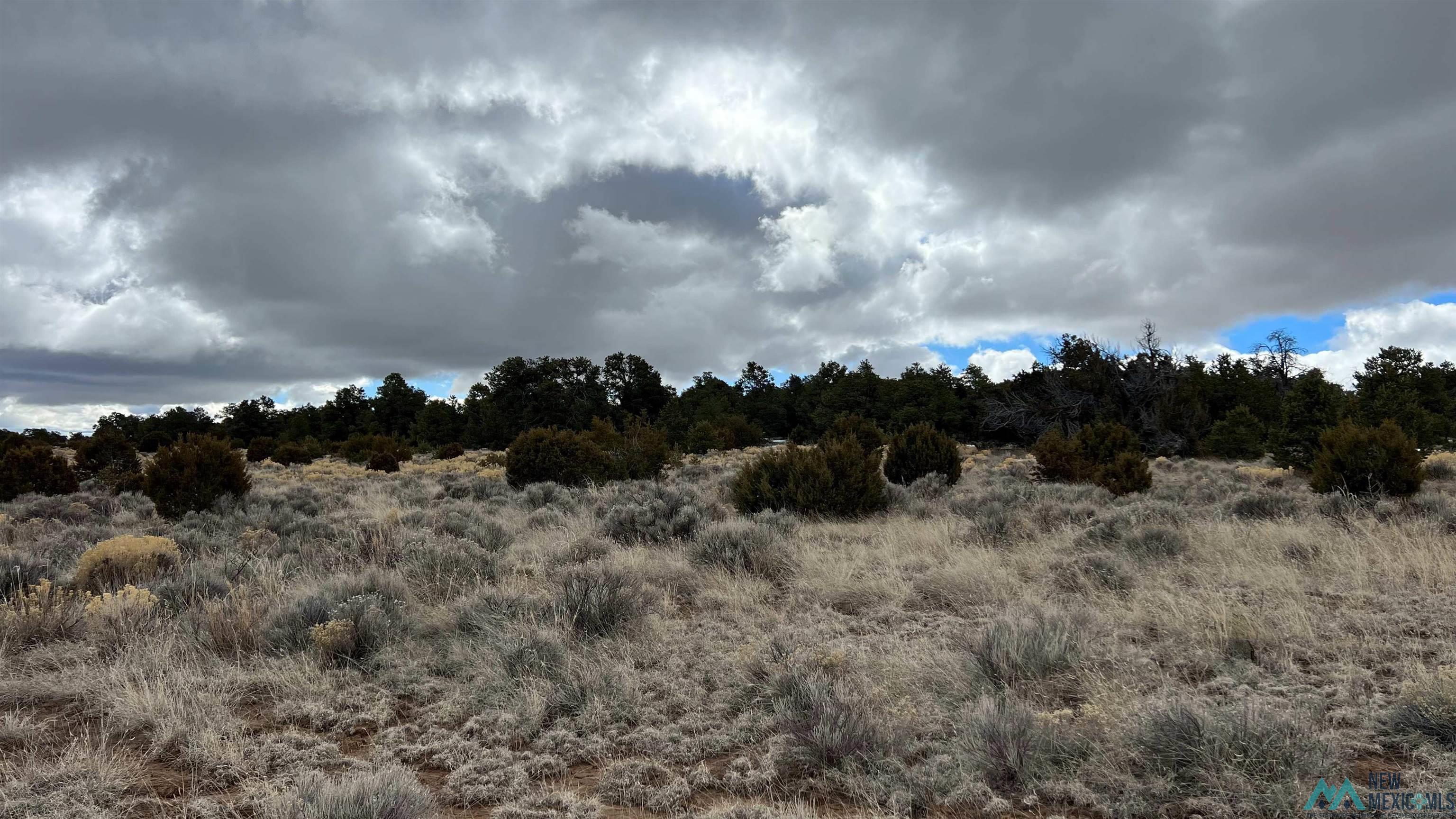 Westside Road, Fence Lake, New Mexico image 18