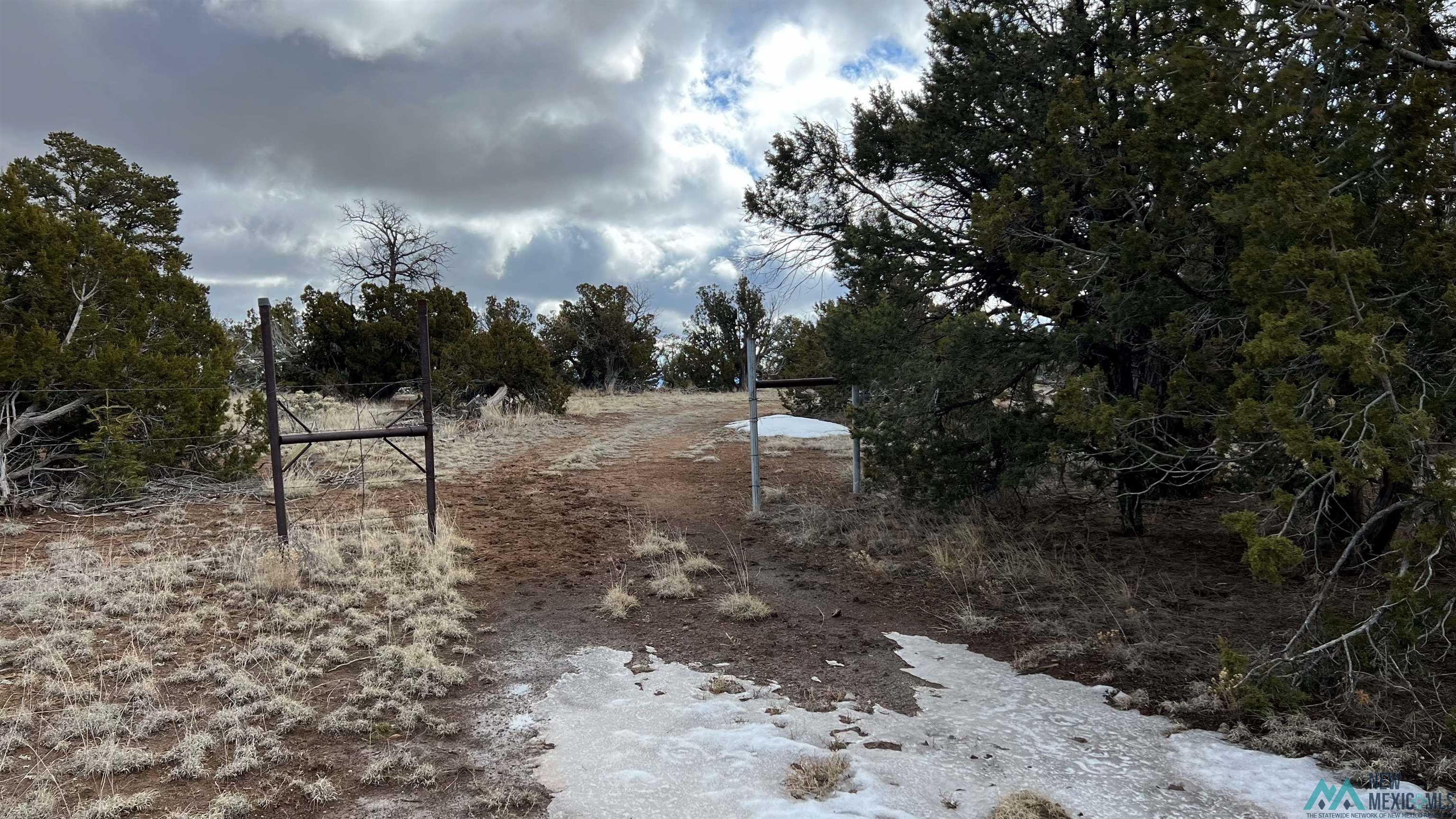 Westside Road, Fence Lake, New Mexico image 4