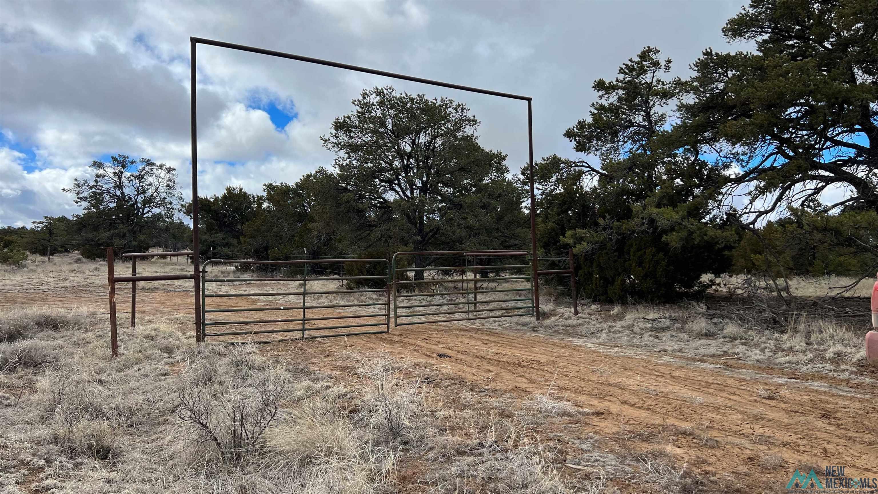 Westside Road, Fence Lake, New Mexico image 1