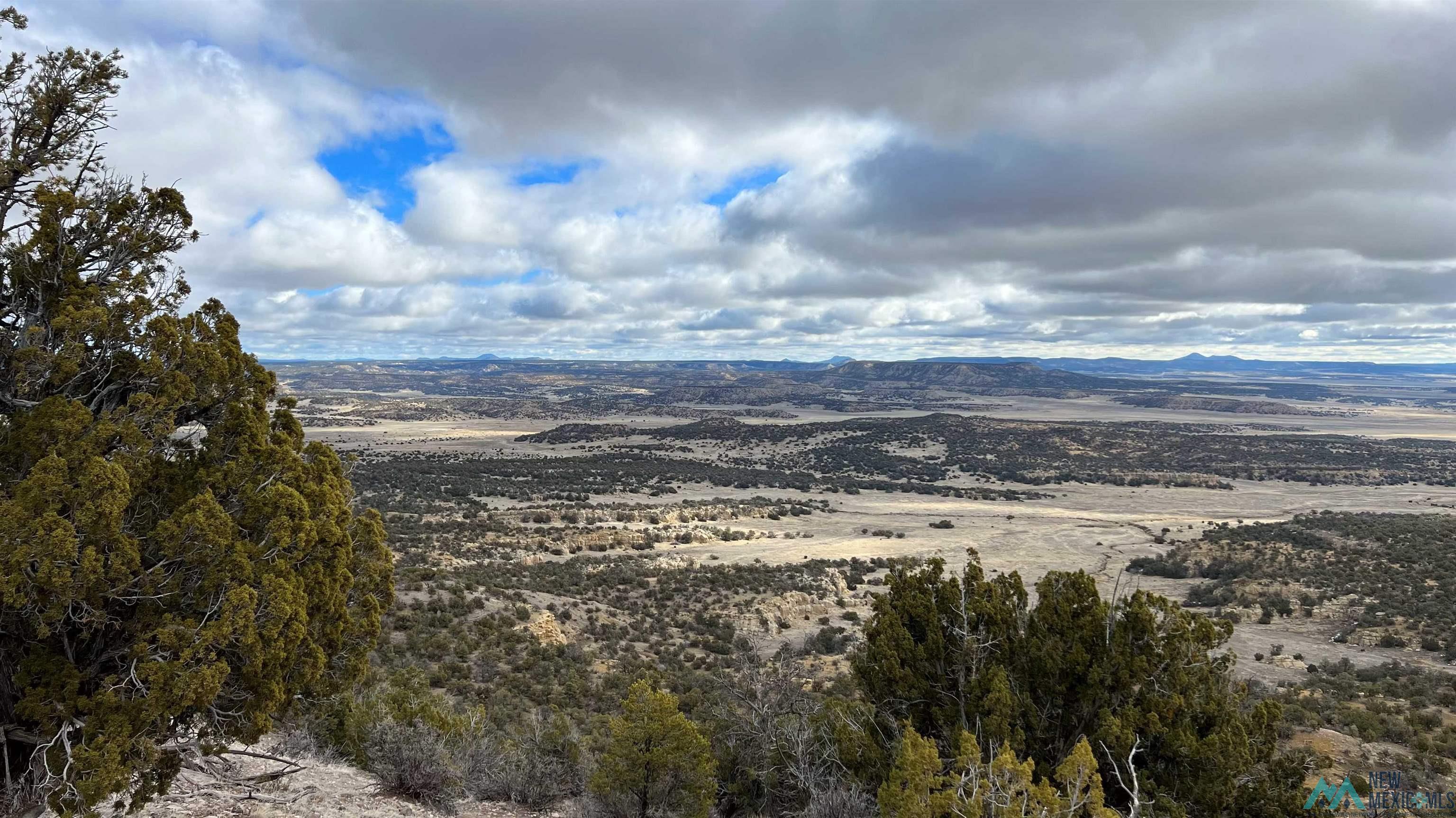 Westside Road, Fence Lake, New Mexico image 3