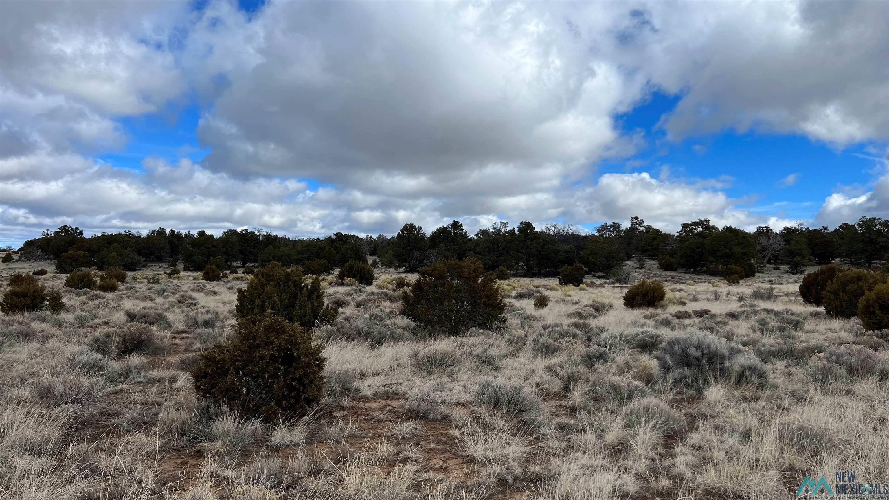 Westside Road, Fence Lake, New Mexico image 17