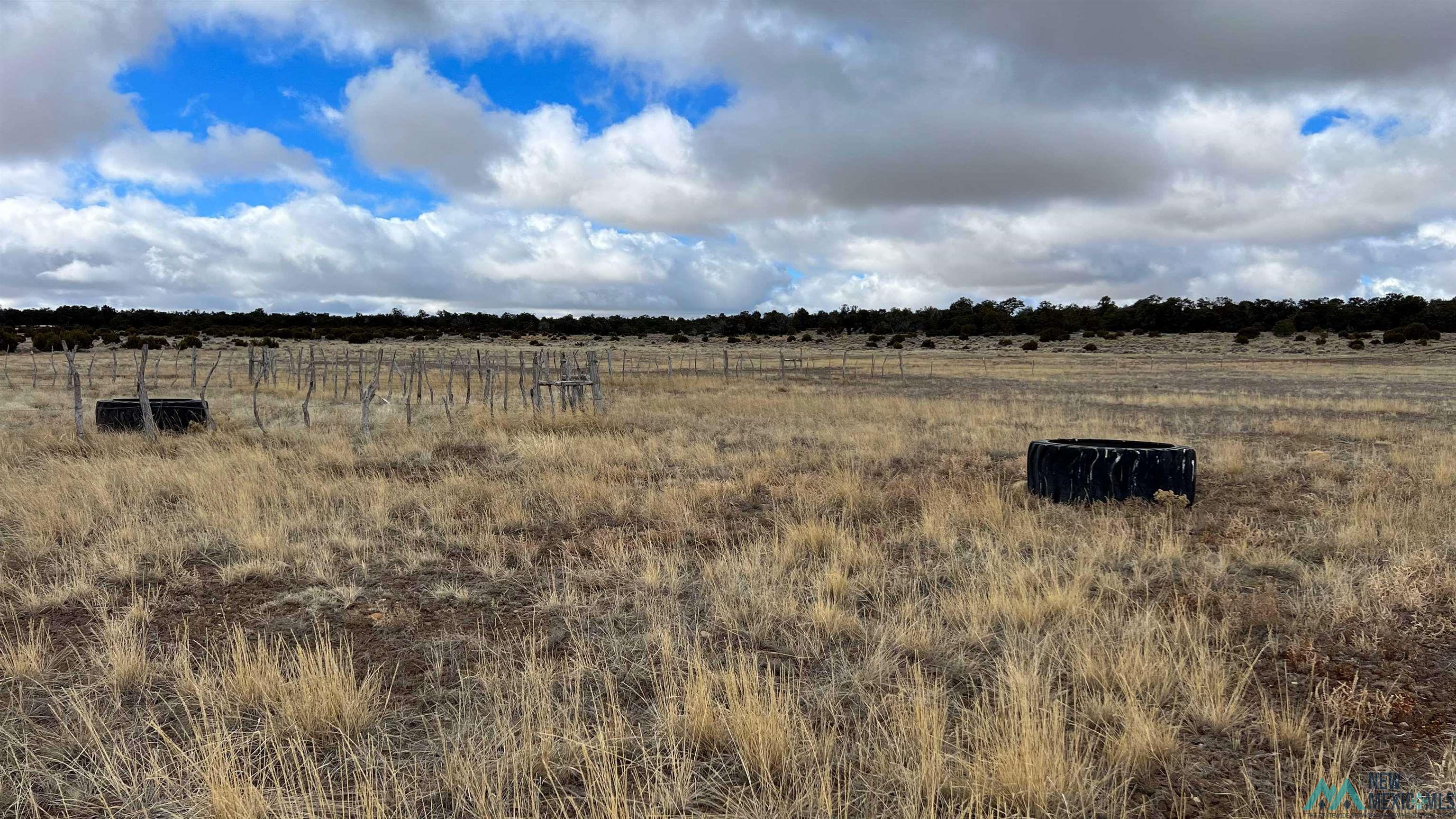 Westside Road, Fence Lake, New Mexico image 7