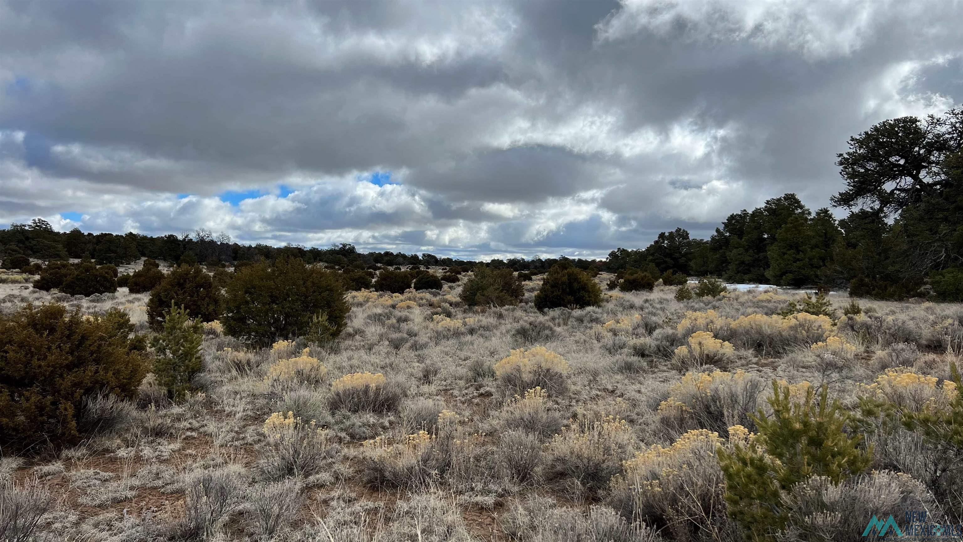 Westside Road, Fence Lake, New Mexico image 20