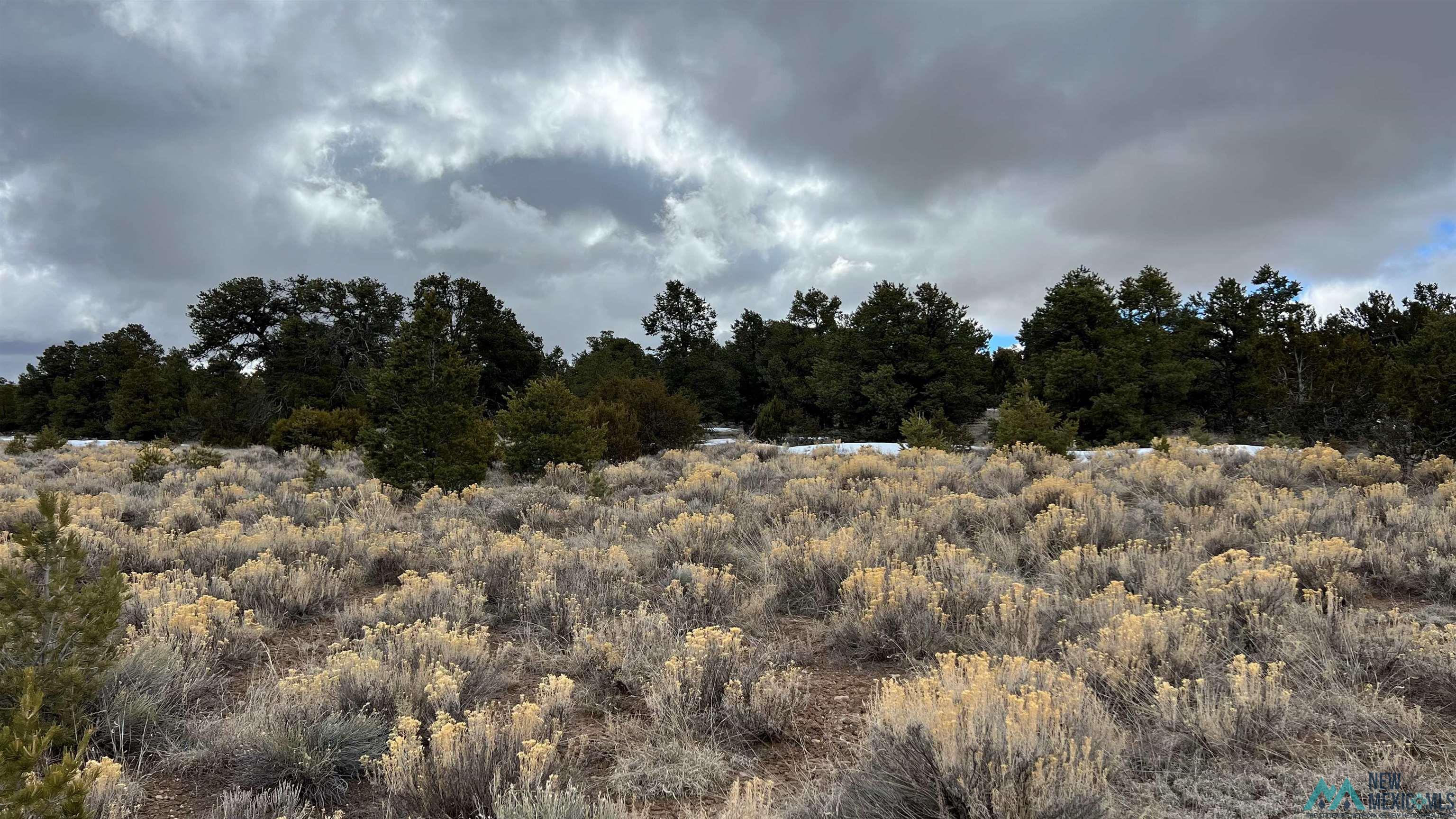 Westside Road, Fence Lake, New Mexico image 19