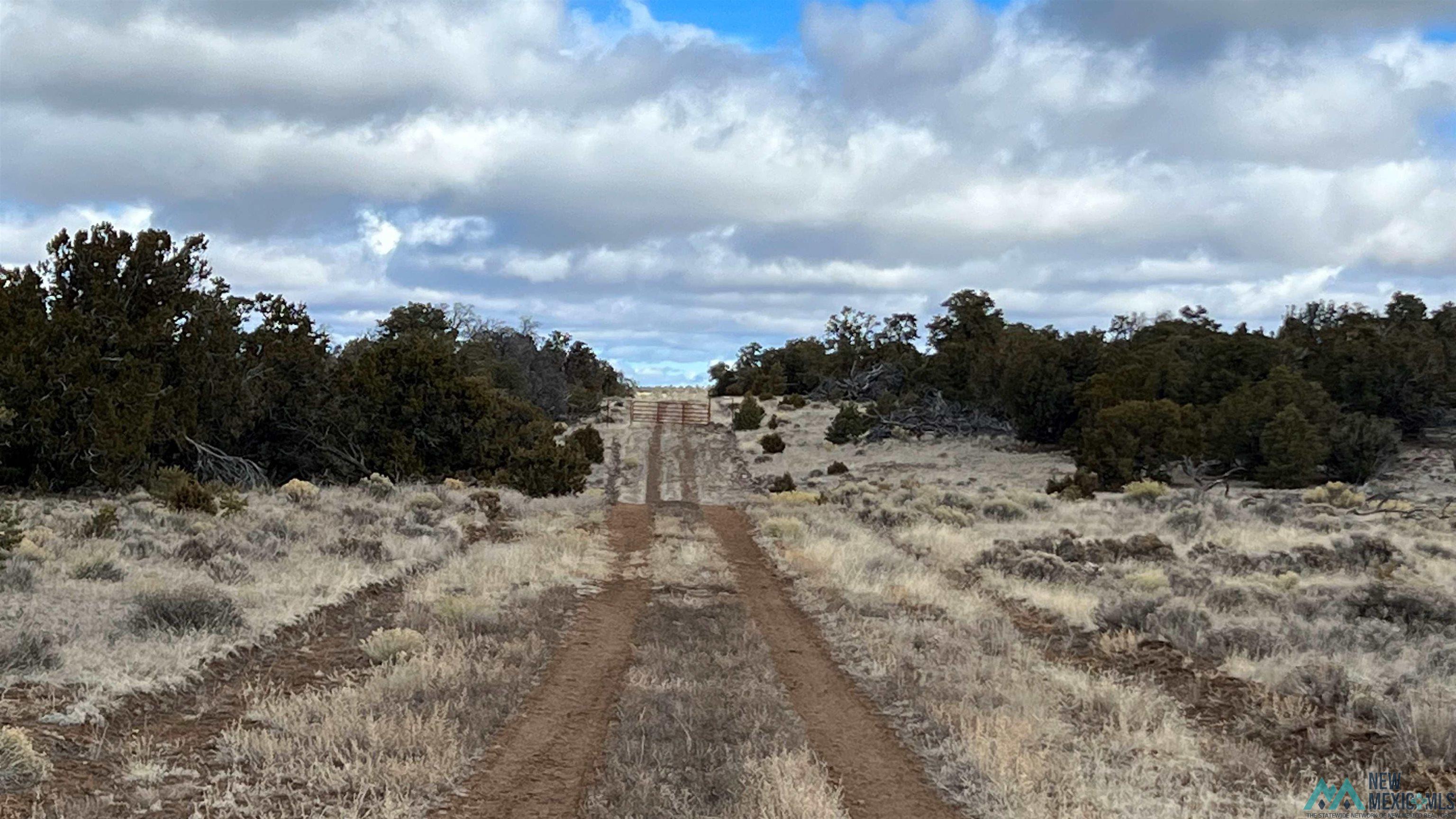 Westside Road, Fence Lake, New Mexico image 15