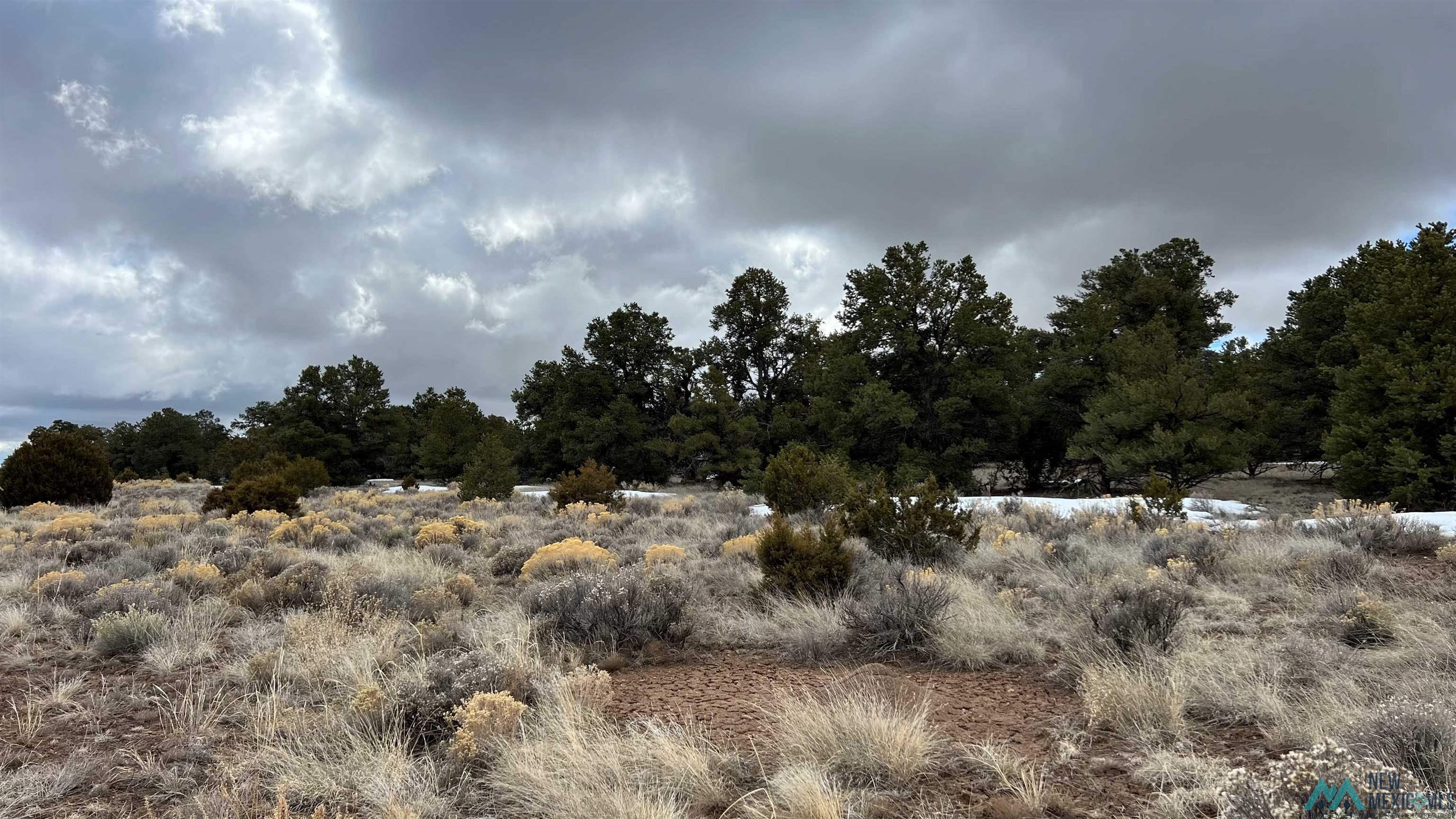 Westside Road, Fence Lake, New Mexico image 22