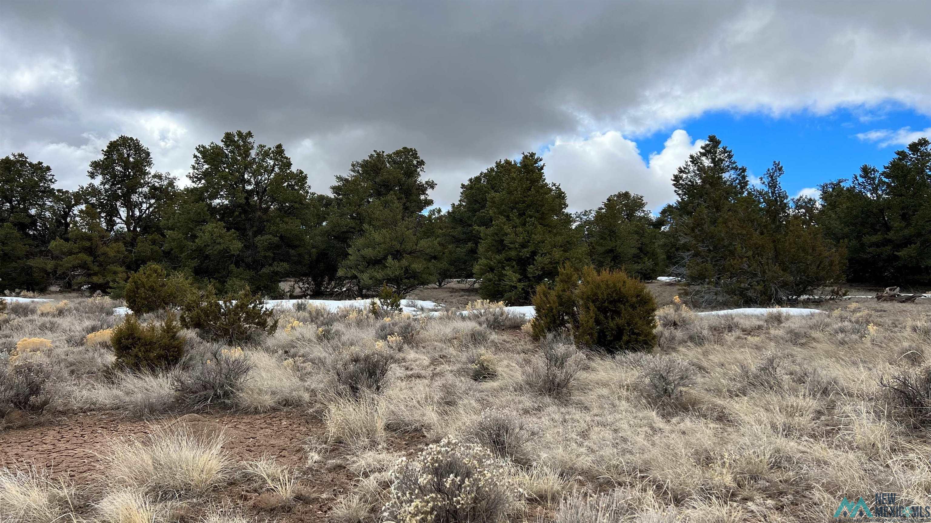 Westside Road, Fence Lake, New Mexico image 23