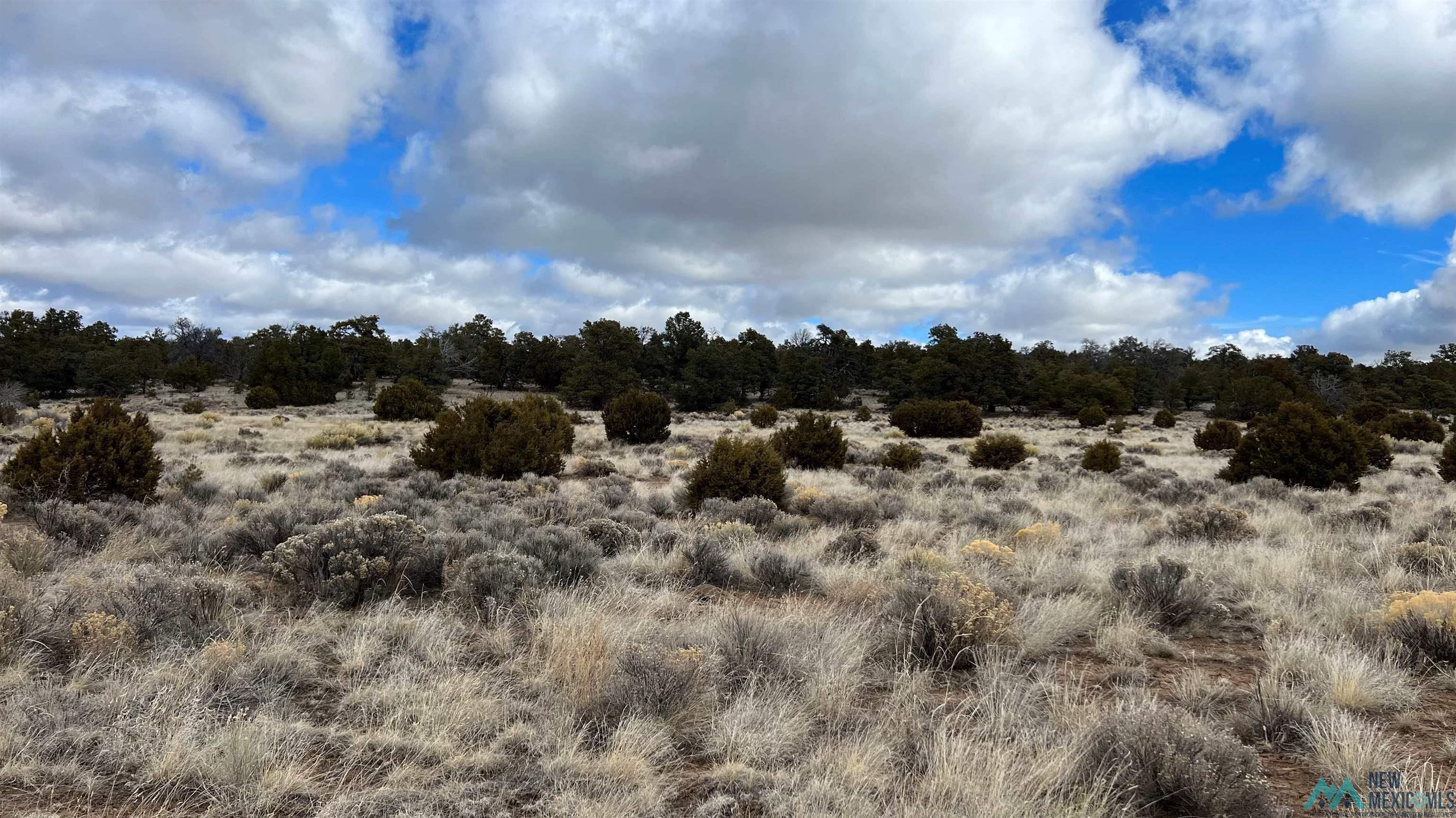 Westside Road, Fence Lake, New Mexico image 21