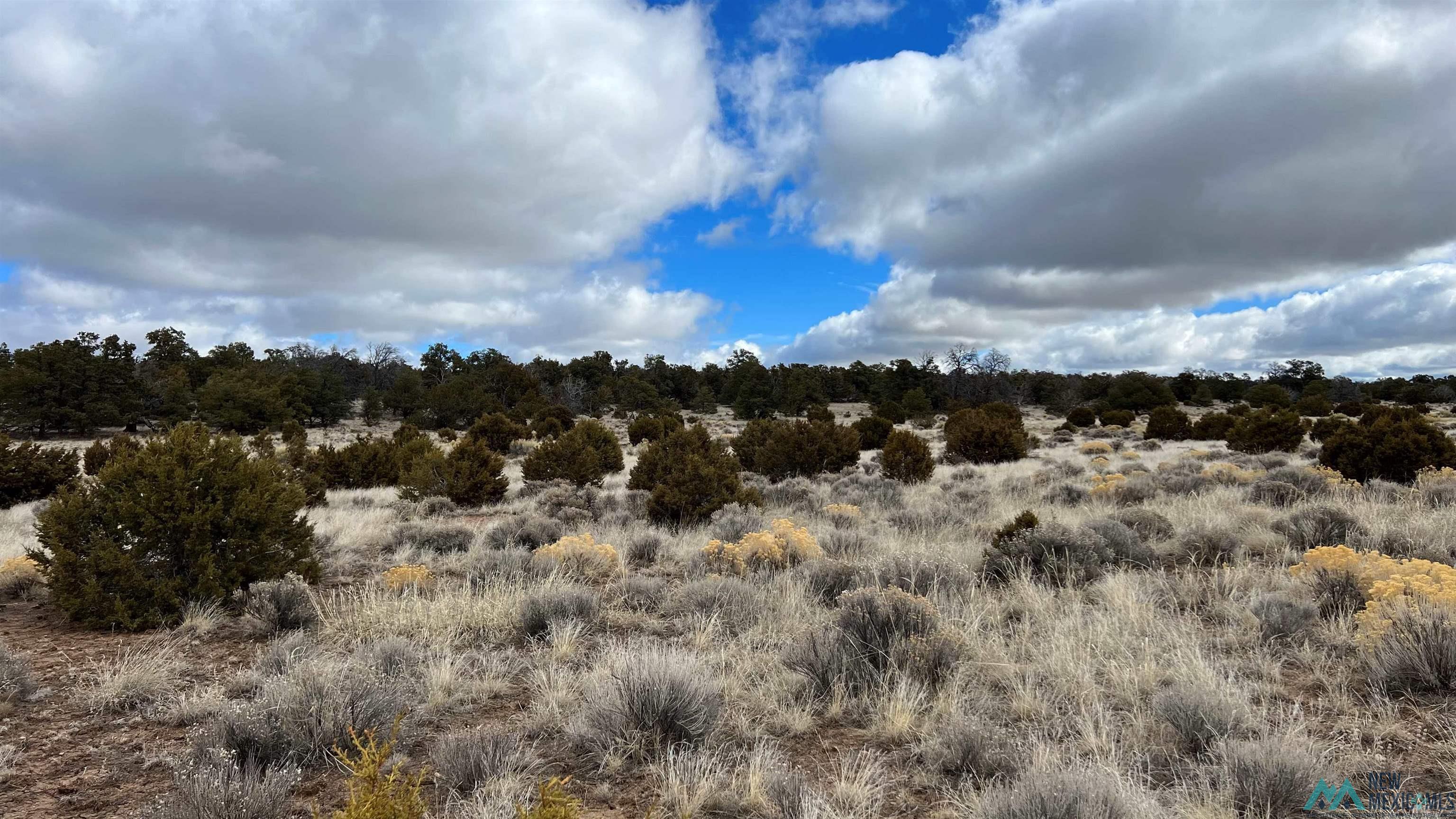 Westside Road, Fence Lake, New Mexico image 24