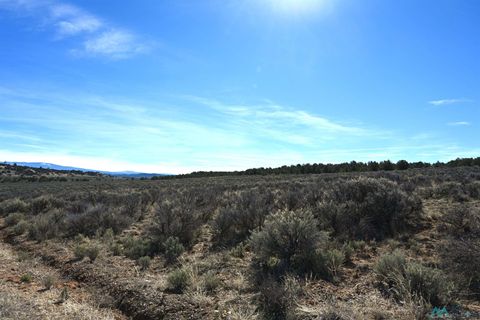 Vacant Land For Sale - 00 Pajarito Road<br/> Rio Arriba County, Tierra Amarilla, NM 87575