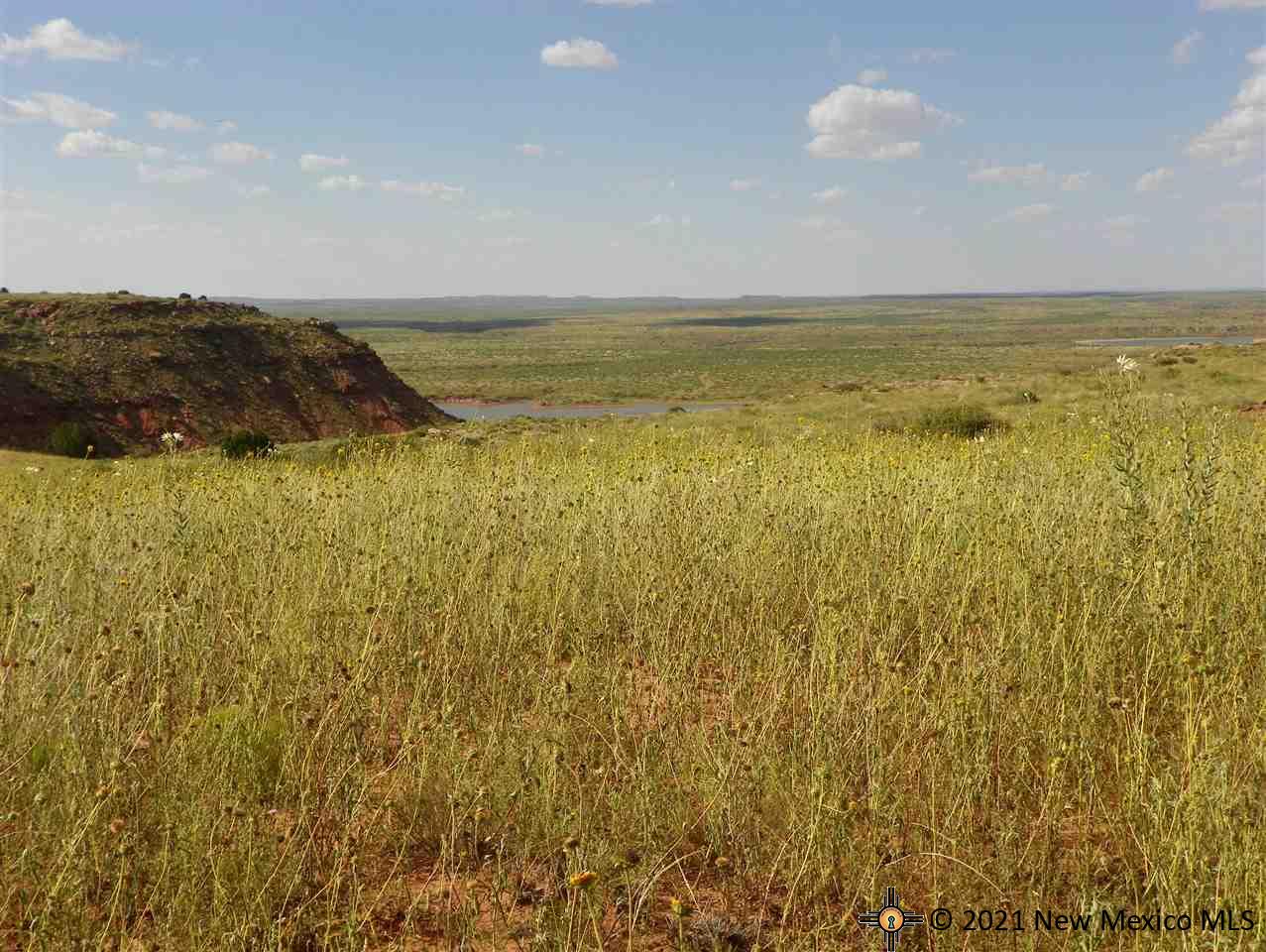 4D Lot Quay Road Ai, Tucumcari, New Mexico image 9