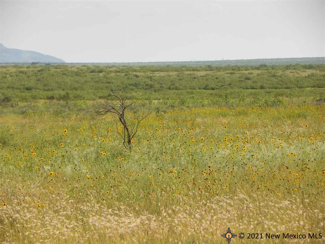 4D Lot Quay Road Ai, Tucumcari, New Mexico image 8