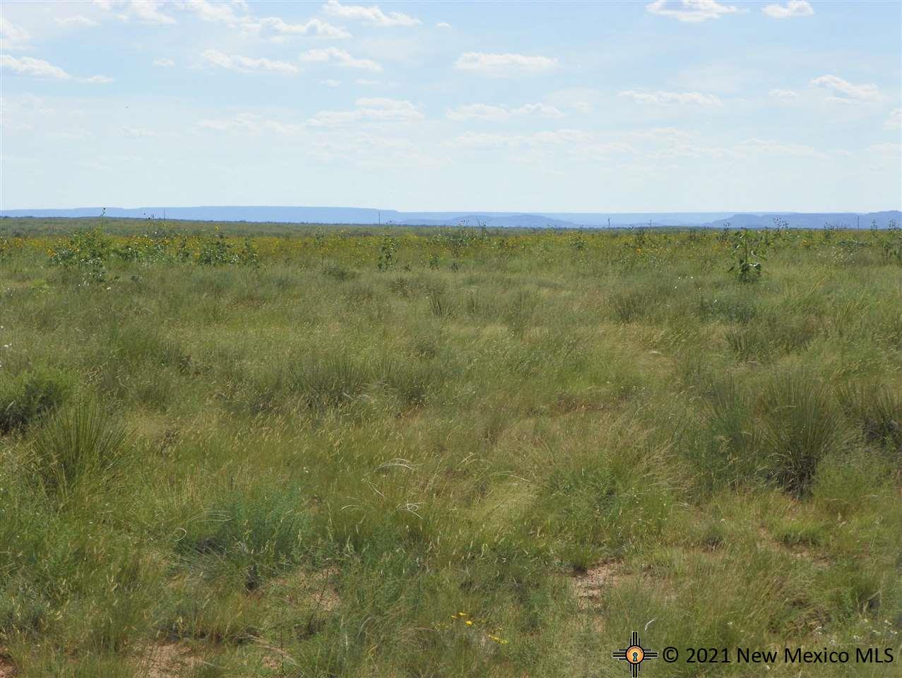 4D Lot Quay Road Ai, Tucumcari, New Mexico image 6