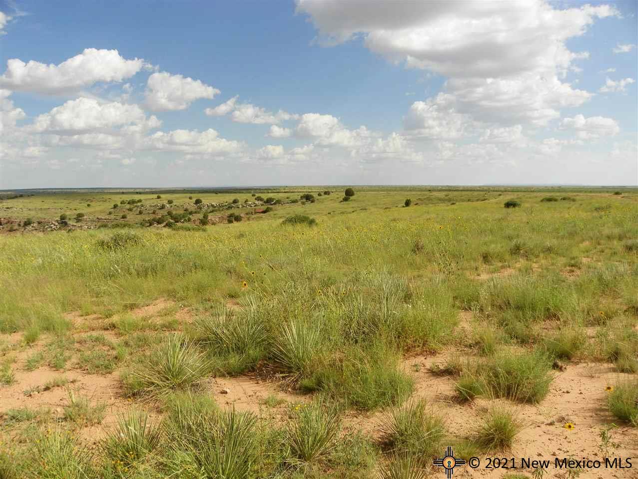 4D Lot Quay Road Ai, Tucumcari, New Mexico image 15