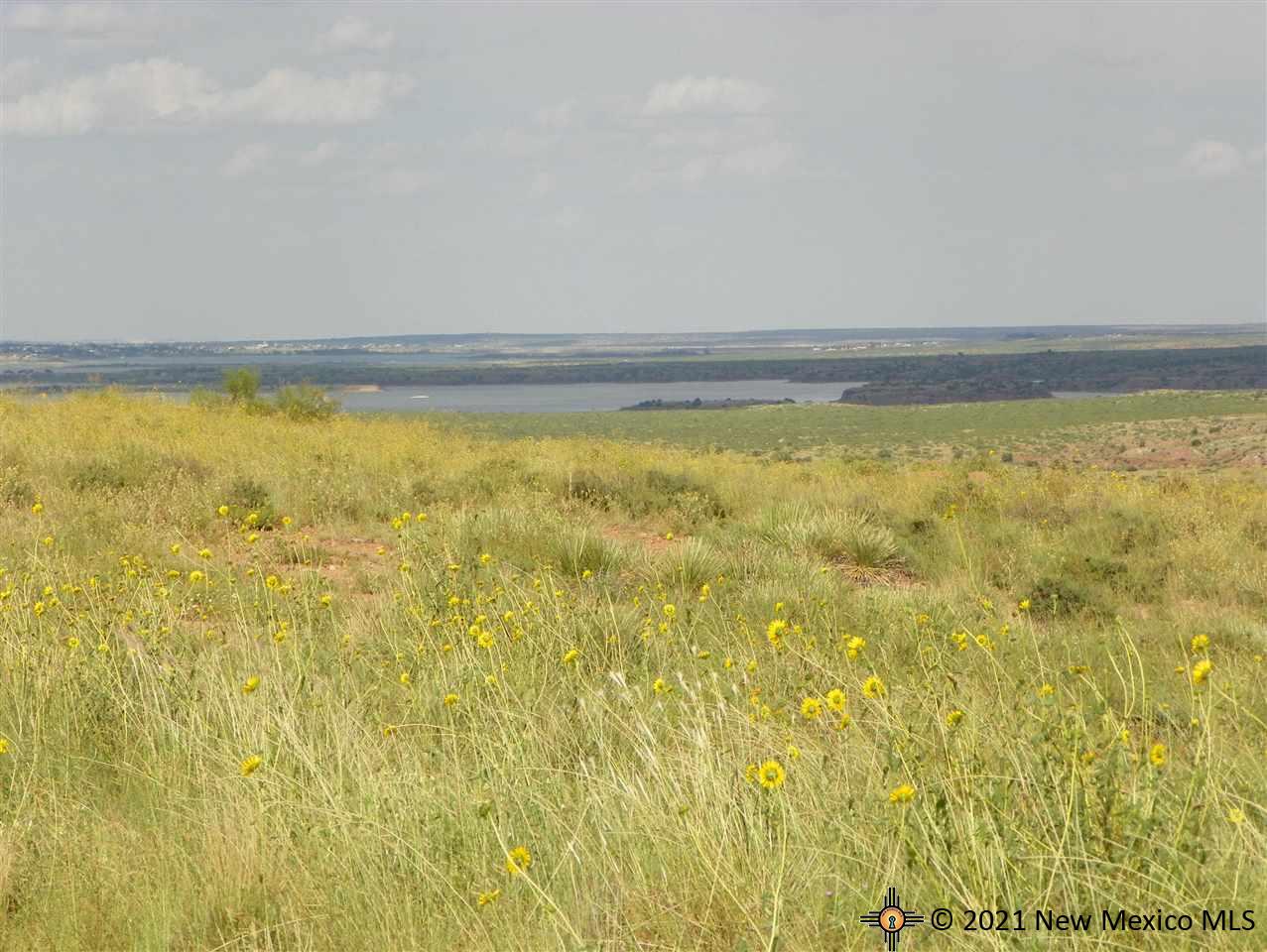 4D Lot Quay Road Ai, Tucumcari, New Mexico image 14