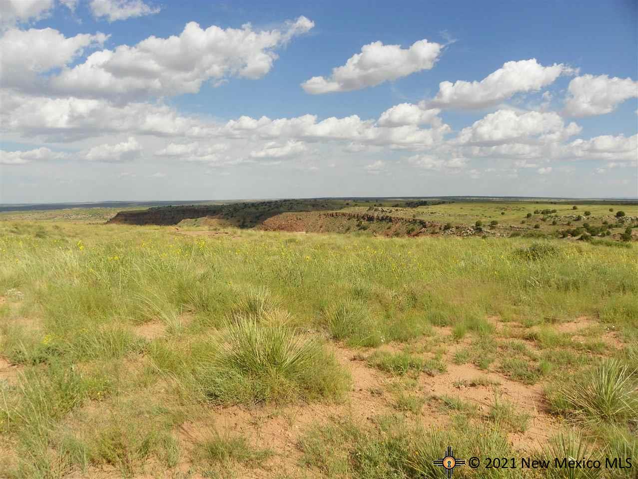 4D Lot Quay Road Ai, Tucumcari, New Mexico image 16