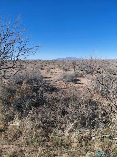 Vacant Land For Sale - XX Dona Ana Road<br/> Deming, NM 88030