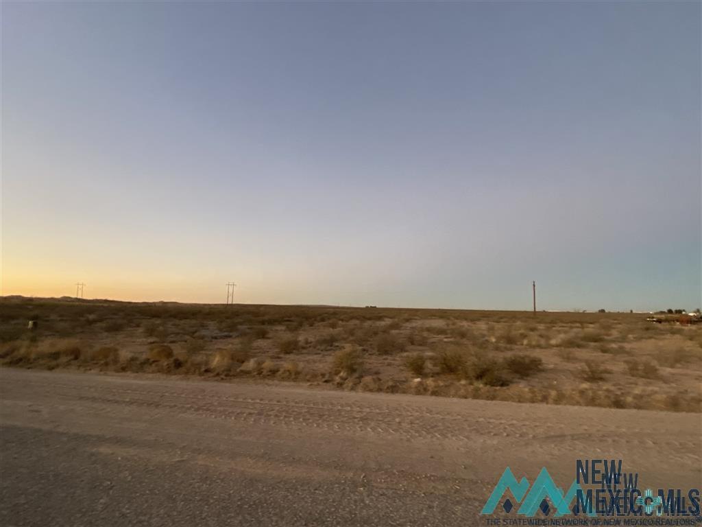 Lot 22 B S Tagwood Lane, Carlsbad, New Mexico image 6