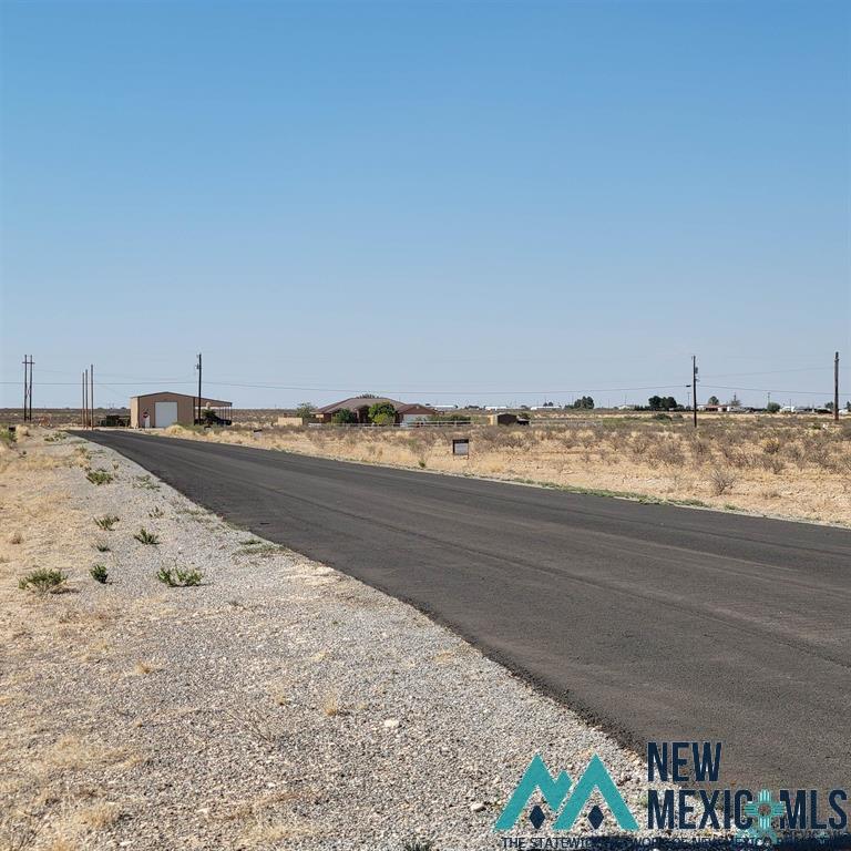 Lot 22 B S Tagwood Lane, Carlsbad, New Mexico image 4