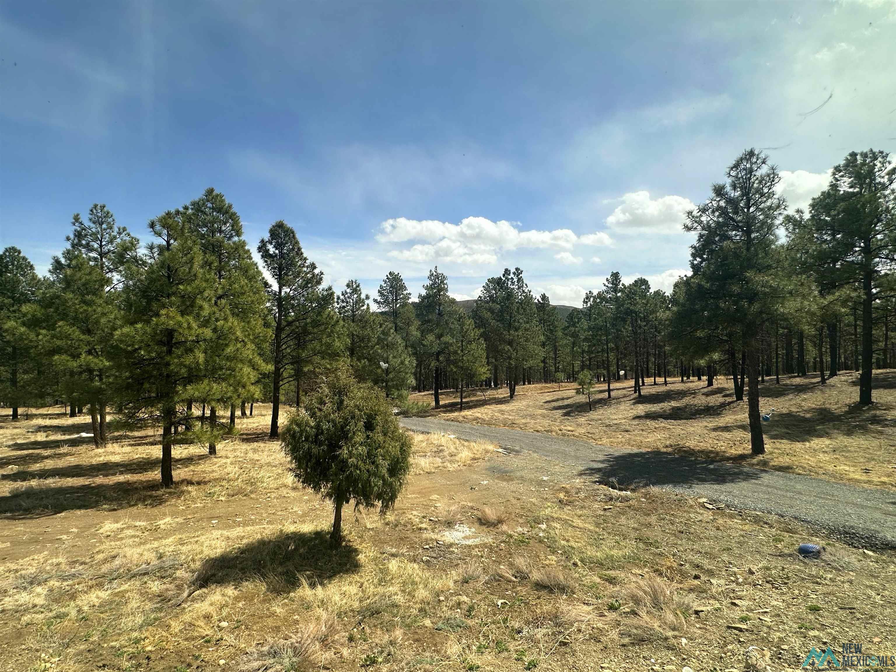 48 County Road A28, Sapello, New Mexico image 46
