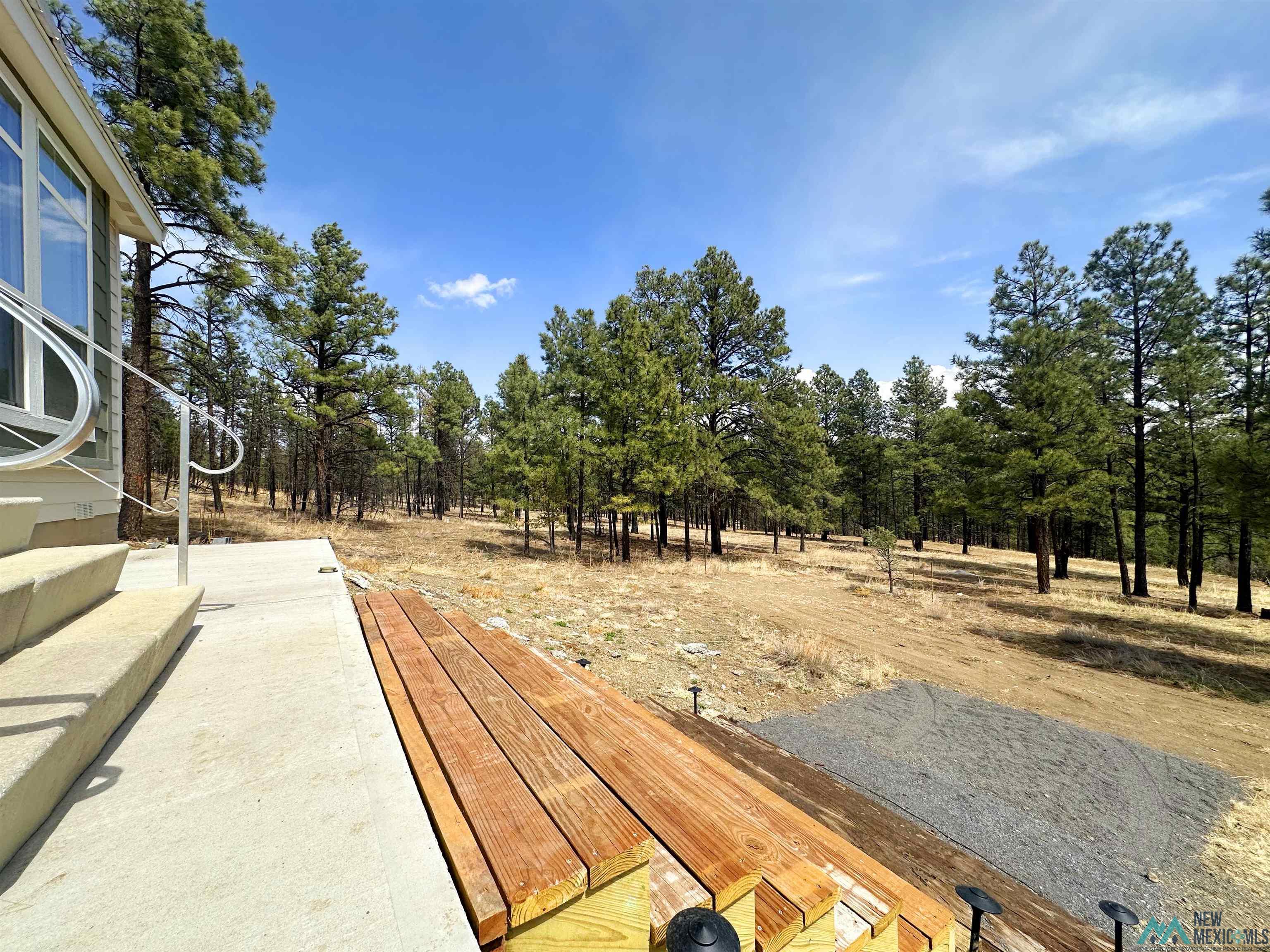 48 County Road A28, Sapello, New Mexico image 43