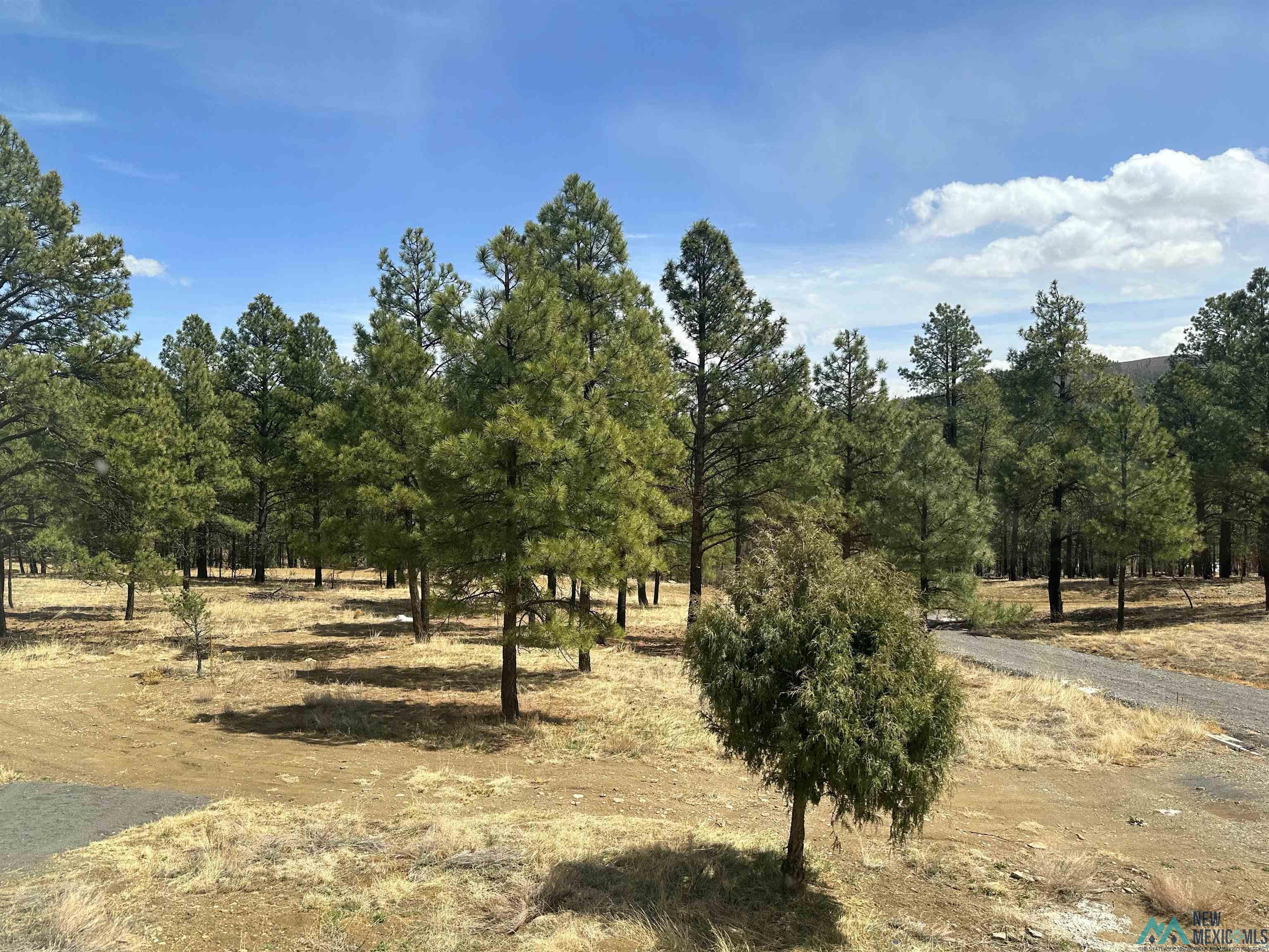 48 County Road A28, Sapello, New Mexico image 45