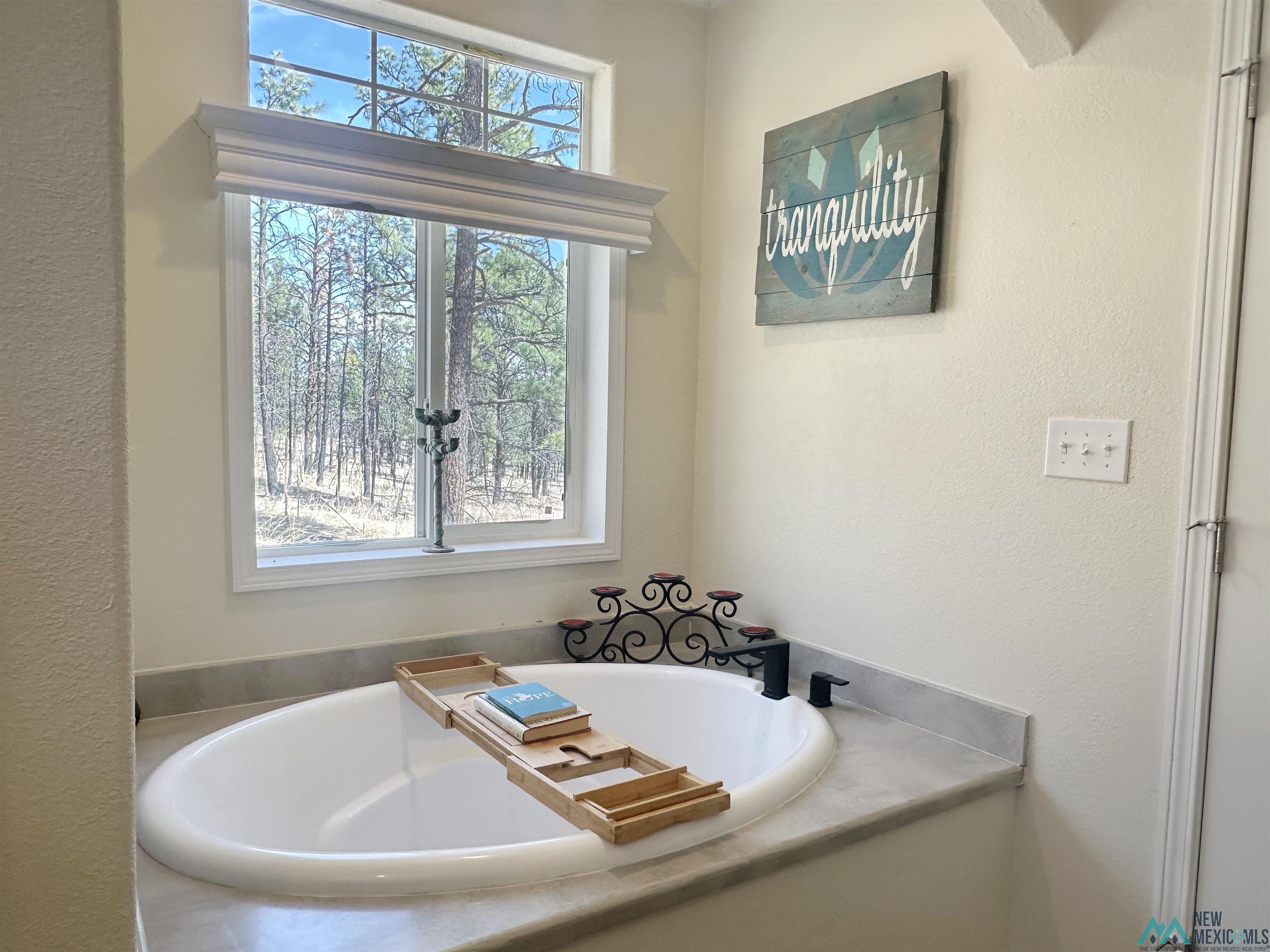 48 County Road A28, Sapello, New Mexico image 22