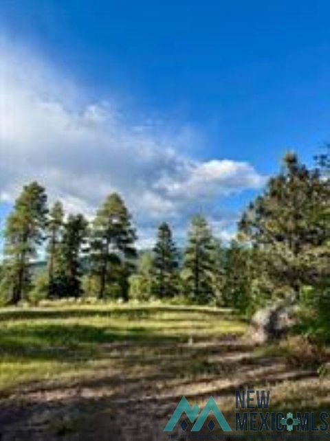 Vacant Land For Sale - OWLS 2A Blue Spruce Trail<br/> Rio Arriba County, Chama, NM 87520