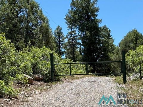 Vacant Land For Sale - 381 Buckman Drive<br/> Rio Arriba County, Chama, NM 87520